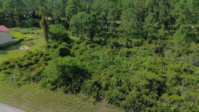 1115 Chiefland Street E, Lehigh Acres, FL 33974 4