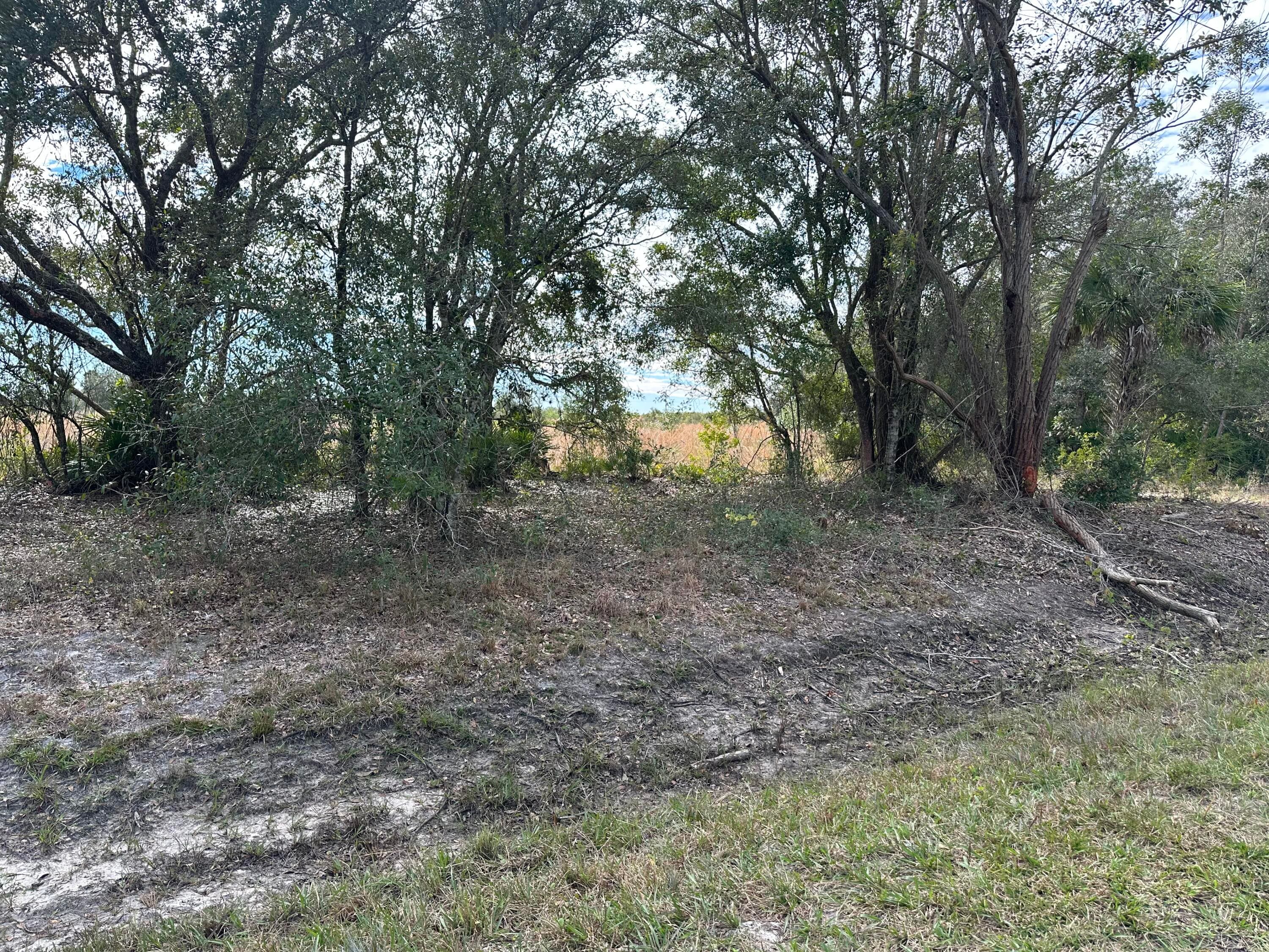 15322 NW 252nd Street, Okeechobee, FL 34972 3