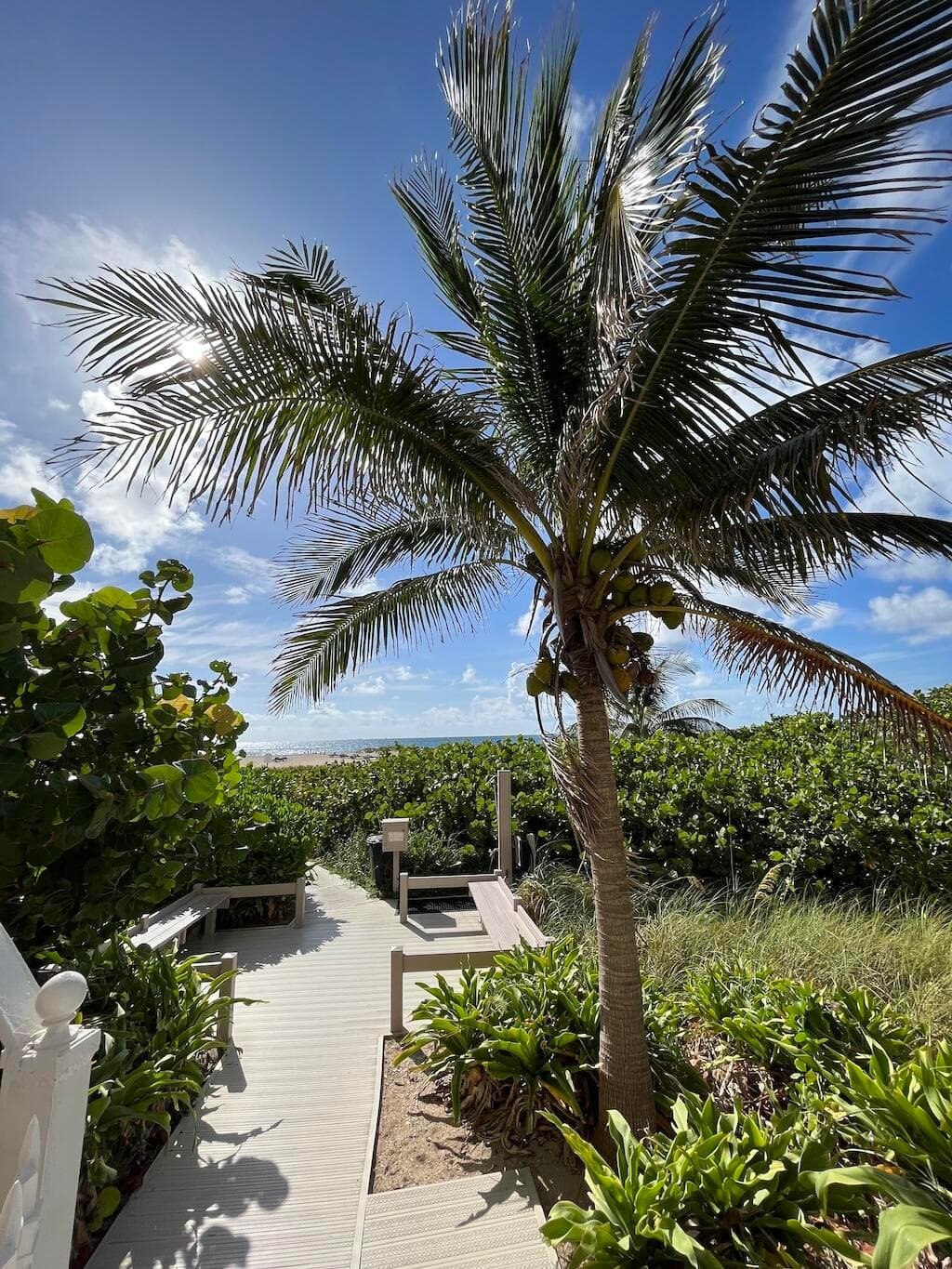 2800 N Ocean Drive B-23c, Singer Island, FL 33404 27