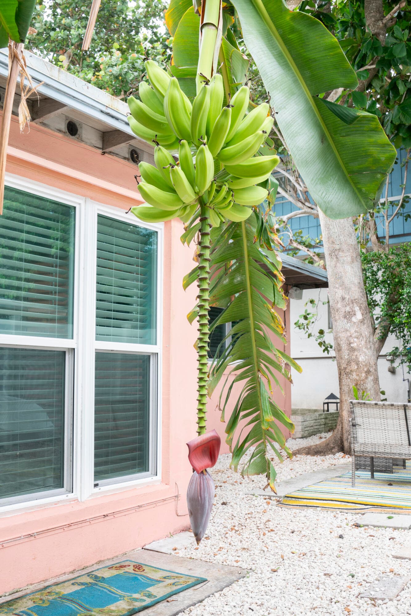 204 Coral Road, Boynton Beach, FL 33435 33