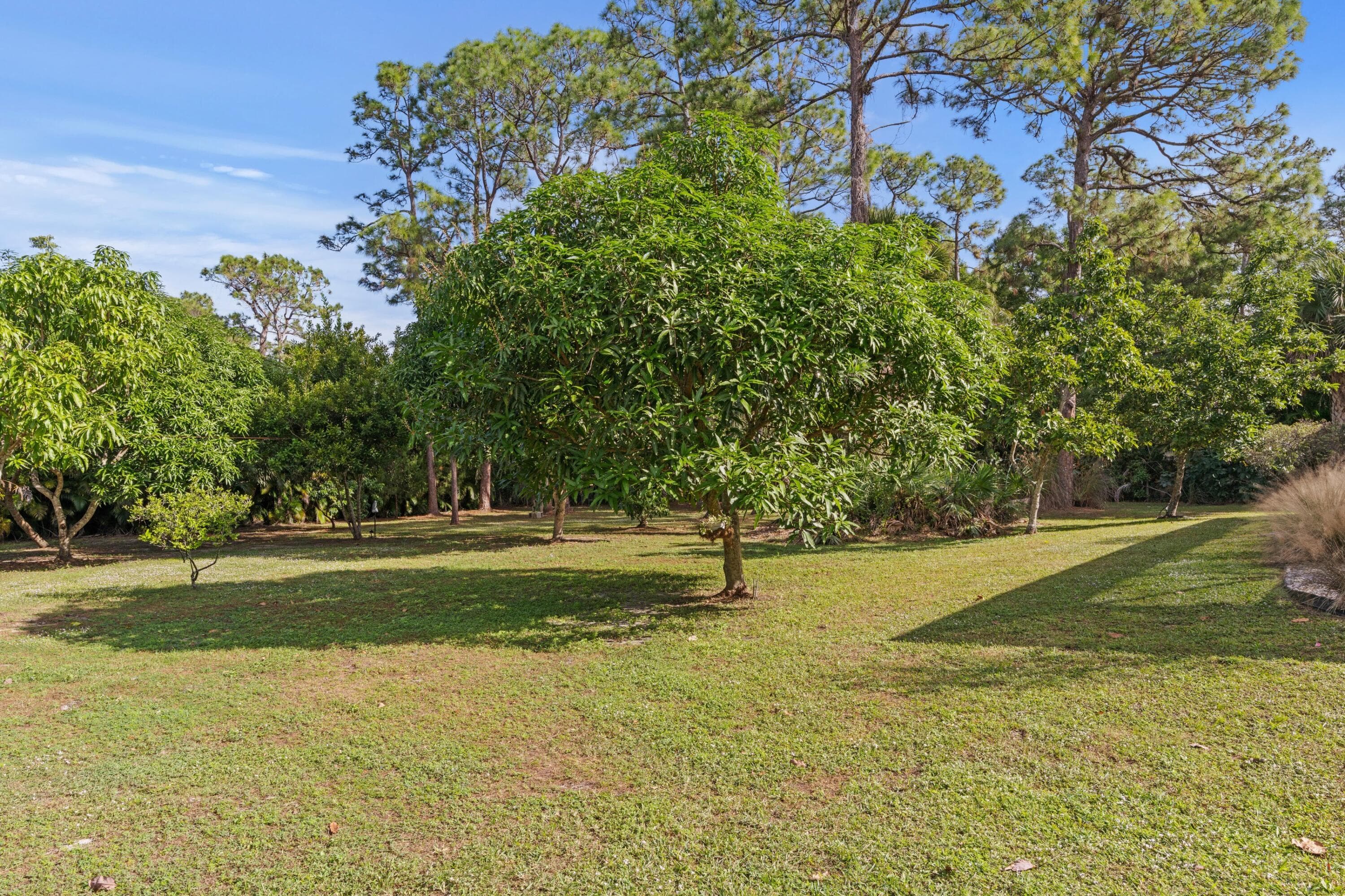 14817 Snail Trail, Loxahatchee Groves, FL 33470 52