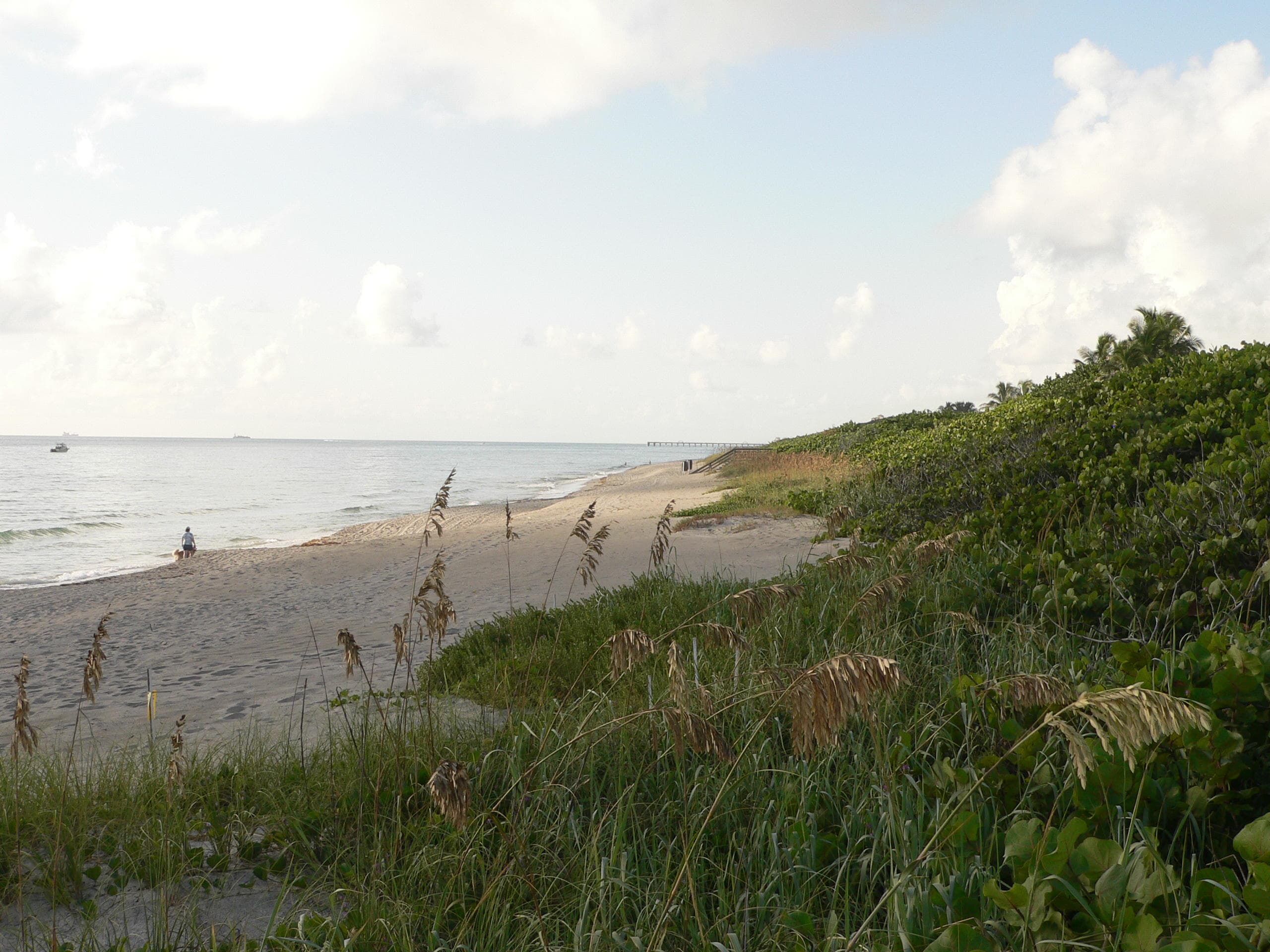 1605 S Us Highway 1 8g, Jupiter, FL 33477 20