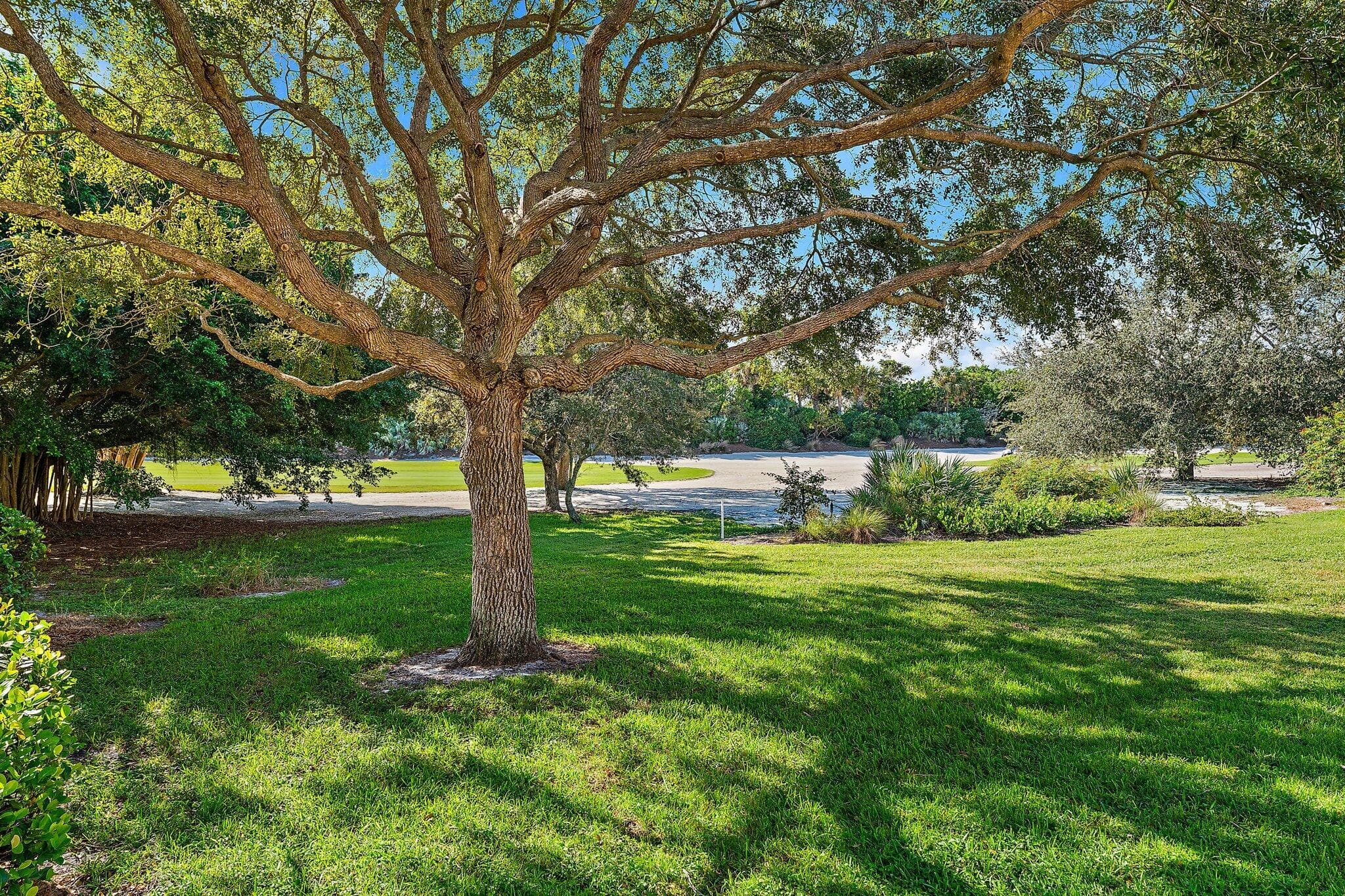 12020 SE Birkdale Run, Jupiter, FL 33469 49