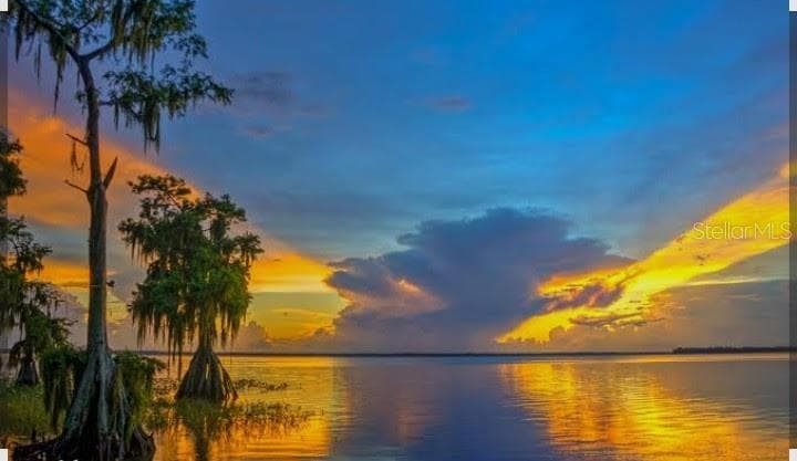 450 Kemper Avenue, Lake Placid, FL 33852 7