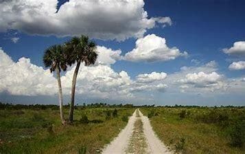 16382 NW 286th Street, Okeechobee, FL 34972 10