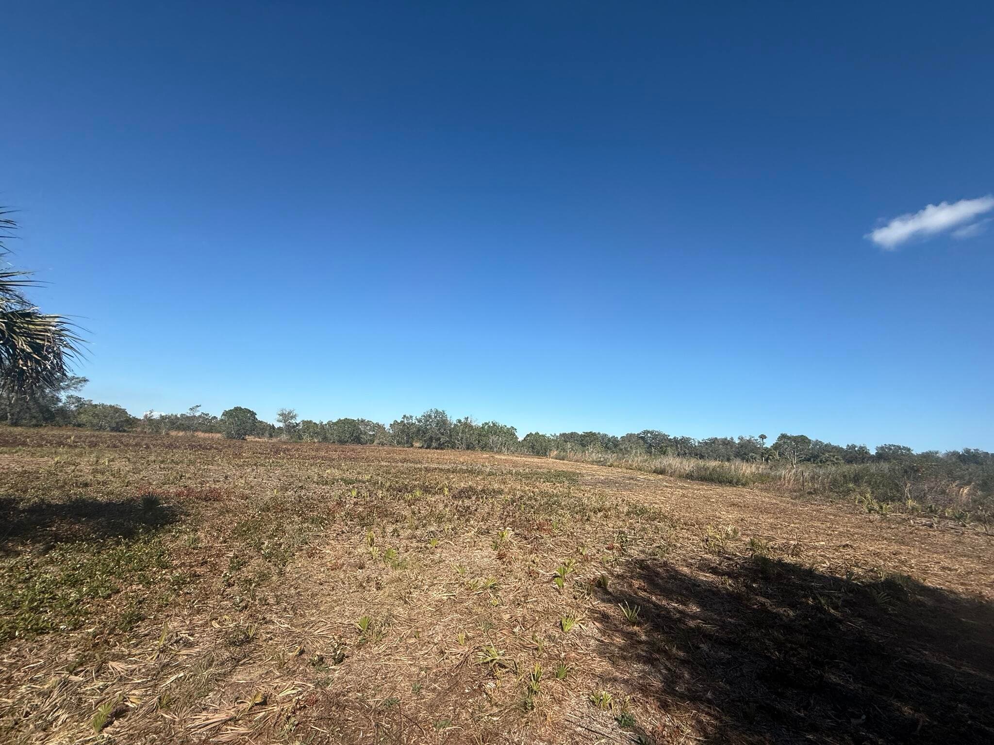 17065 NW 306th Street, Okeechobee, FL 34972 6