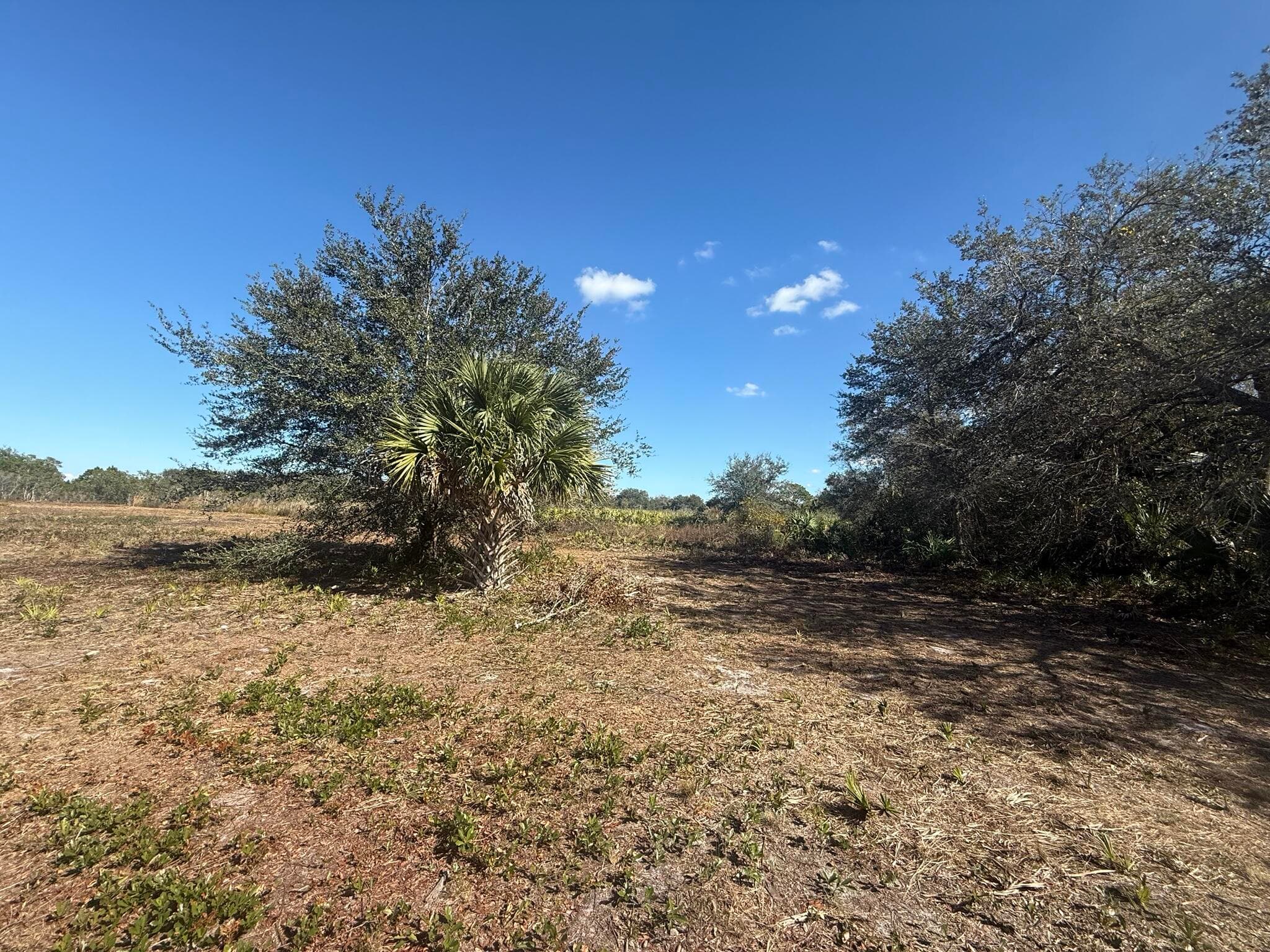17065 NW 306th Street, Okeechobee, FL 34972 2