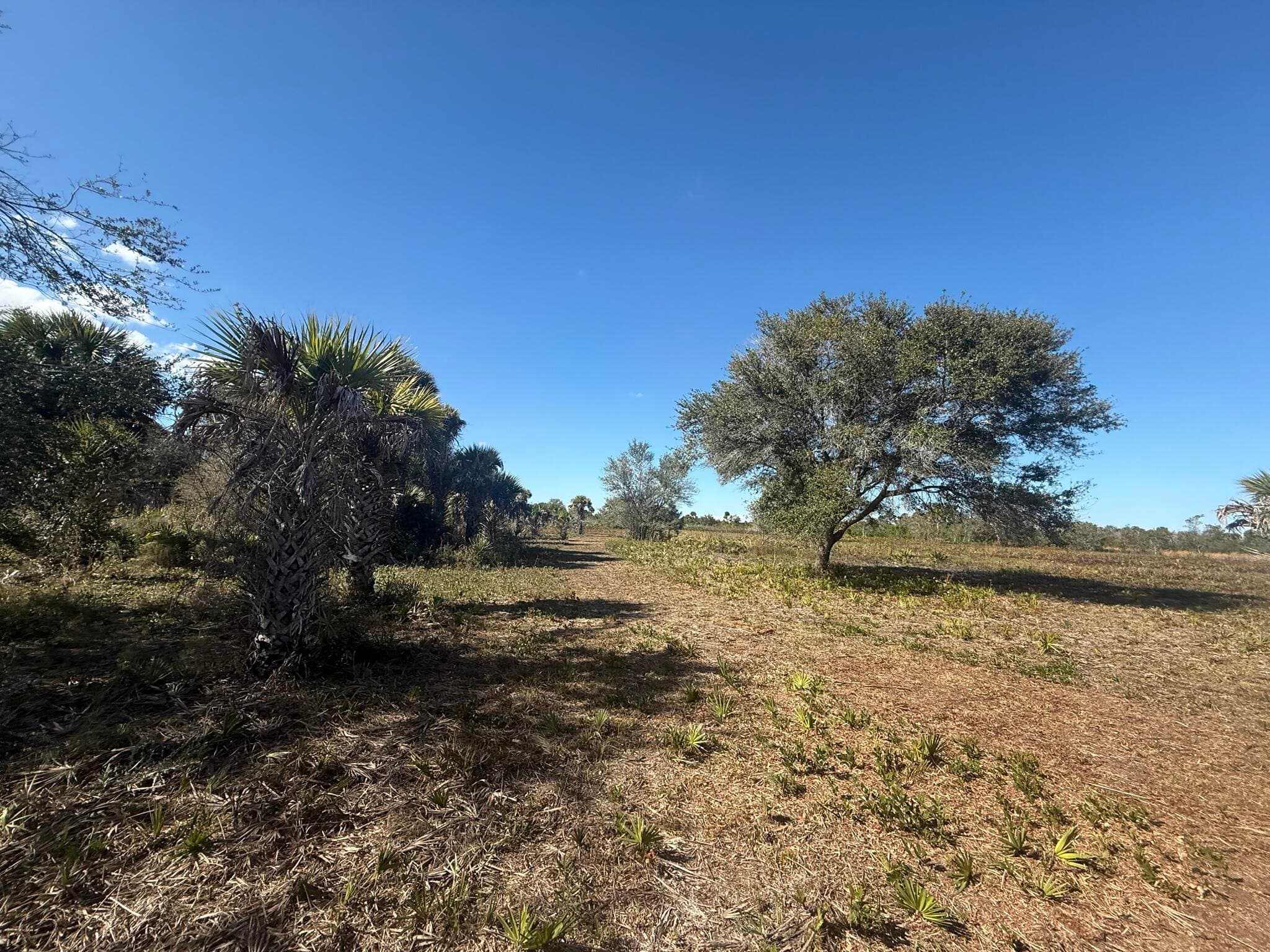 17065 NW 306th Street, Okeechobee, FL 34972 9