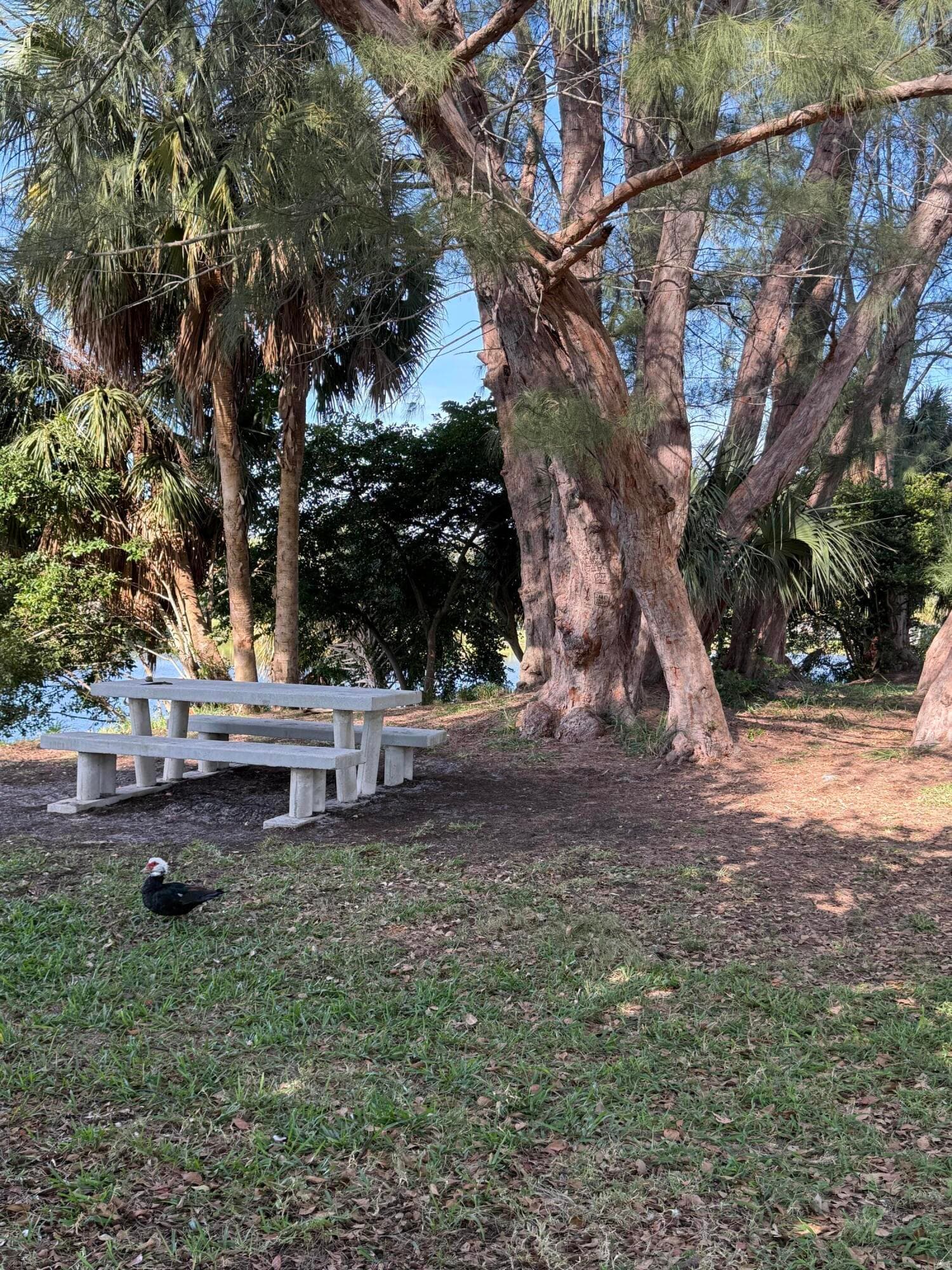 2960 Lake Osborne Drive 209, Lake Worth Beach, FL 33461 21