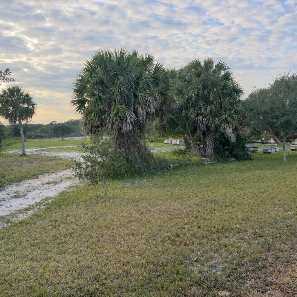 6440 Highway 1, Grant Valkaria, FL 32949 2