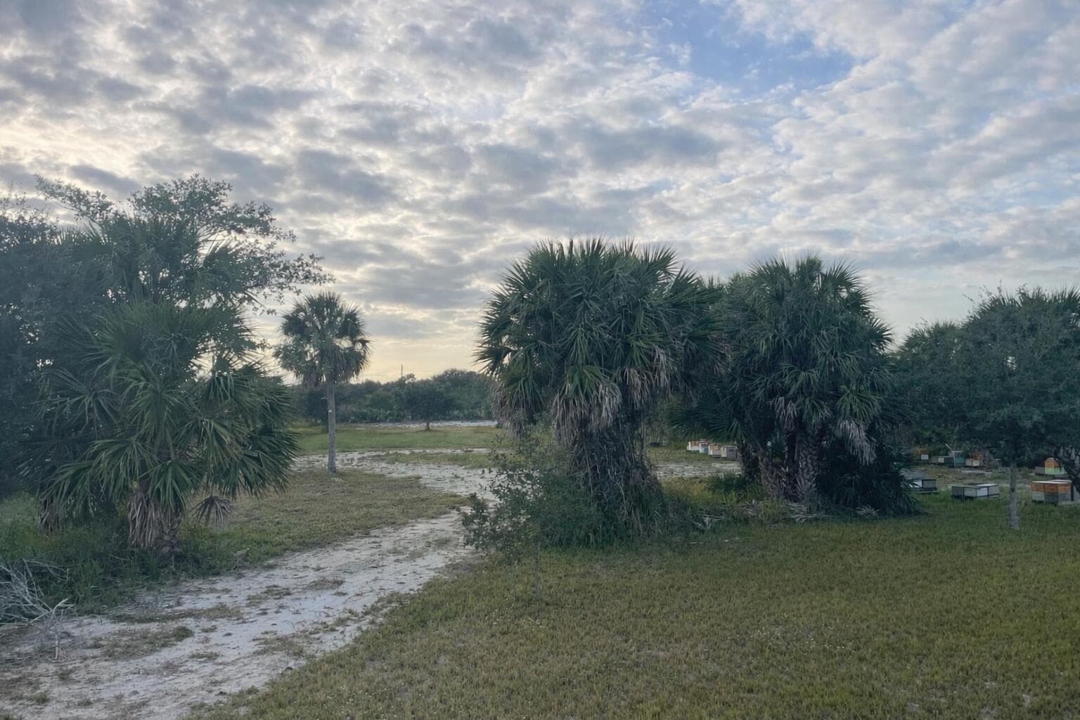 6440 Highway 1, Grant Valkaria, FL 32949 3
