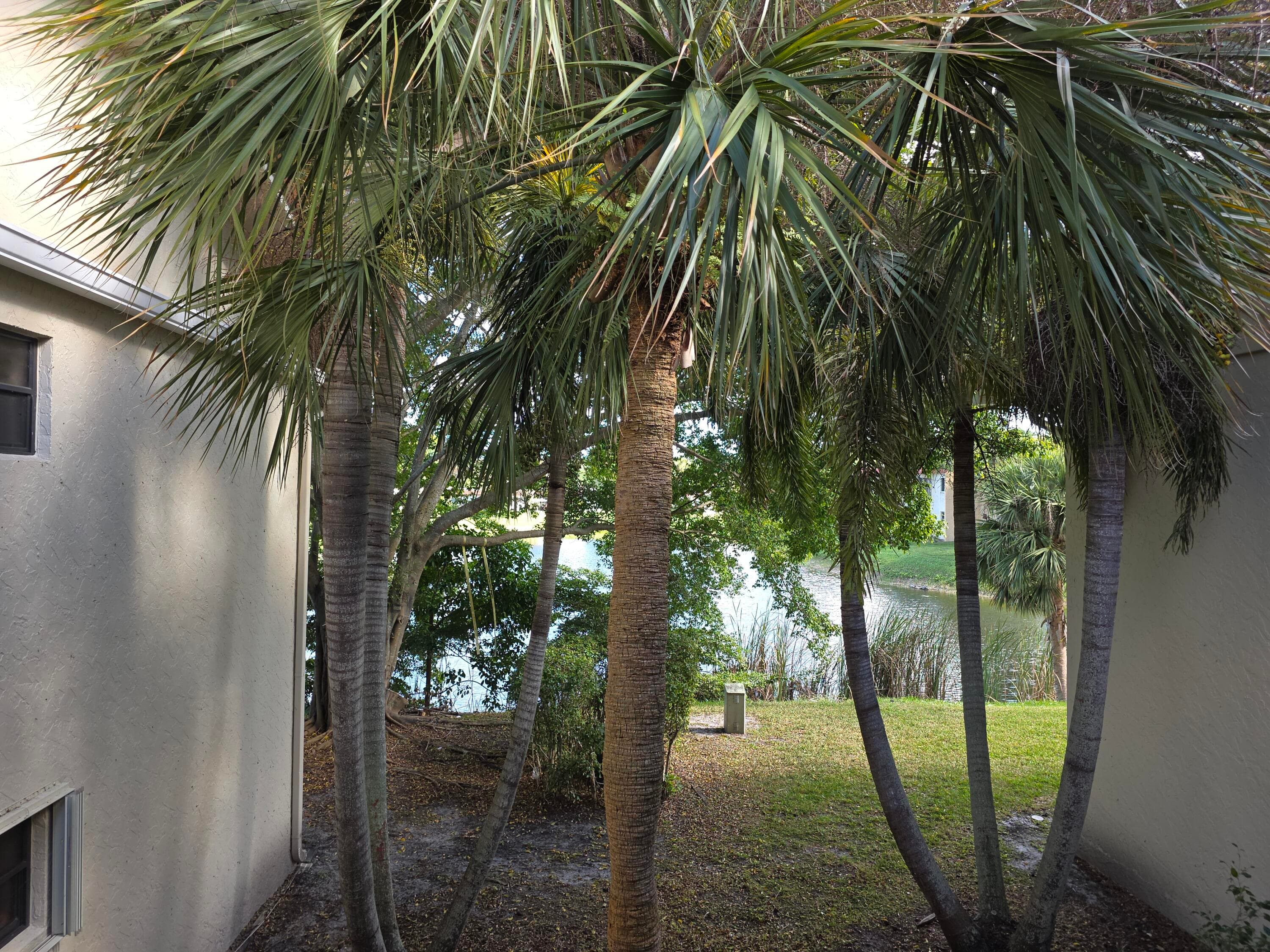 1542 Lake Crystal Drive H, West Palm Beach, FL 33411 31