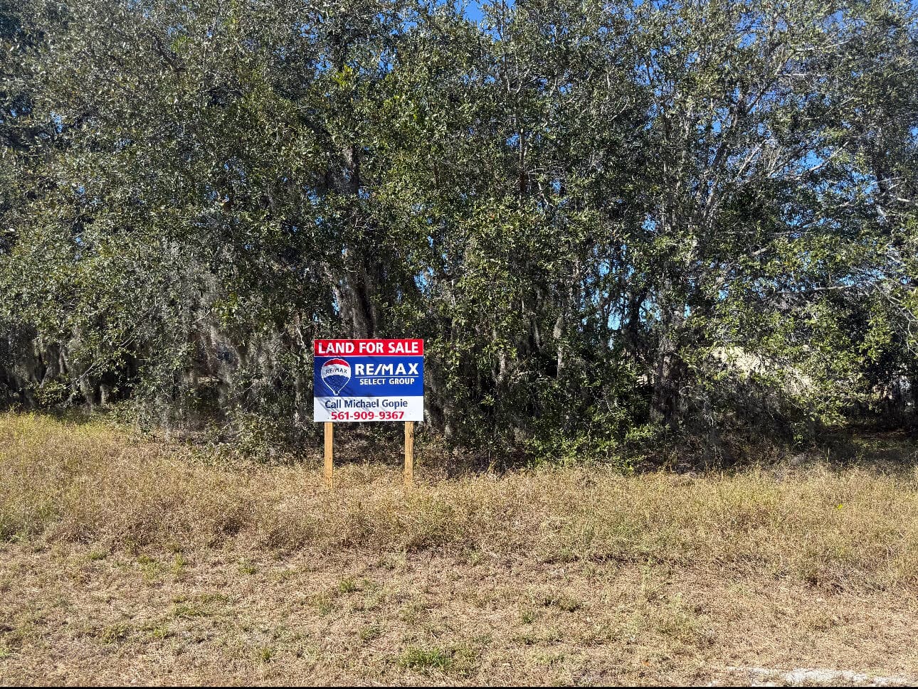 180 Big Black Drive, Poinciana, FL 34759 5