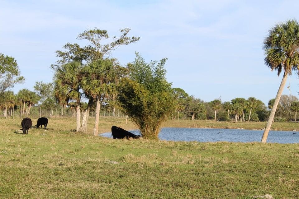 2410 S Brocksmith Road, Fort Pierce, FL 34945 44