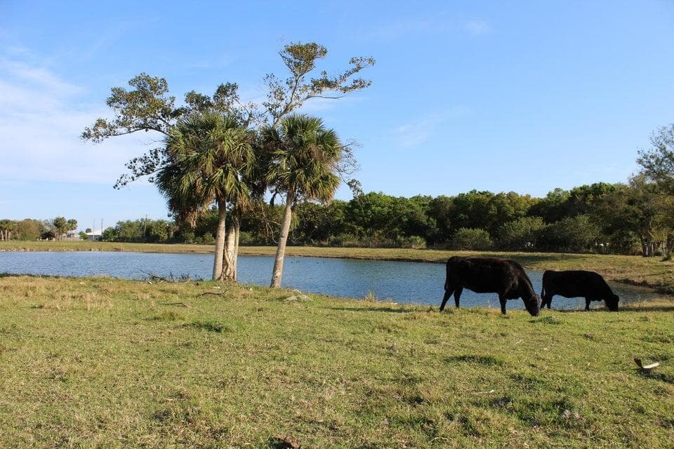 2410 S Brocksmith Road, Fort Pierce, FL 34945 43