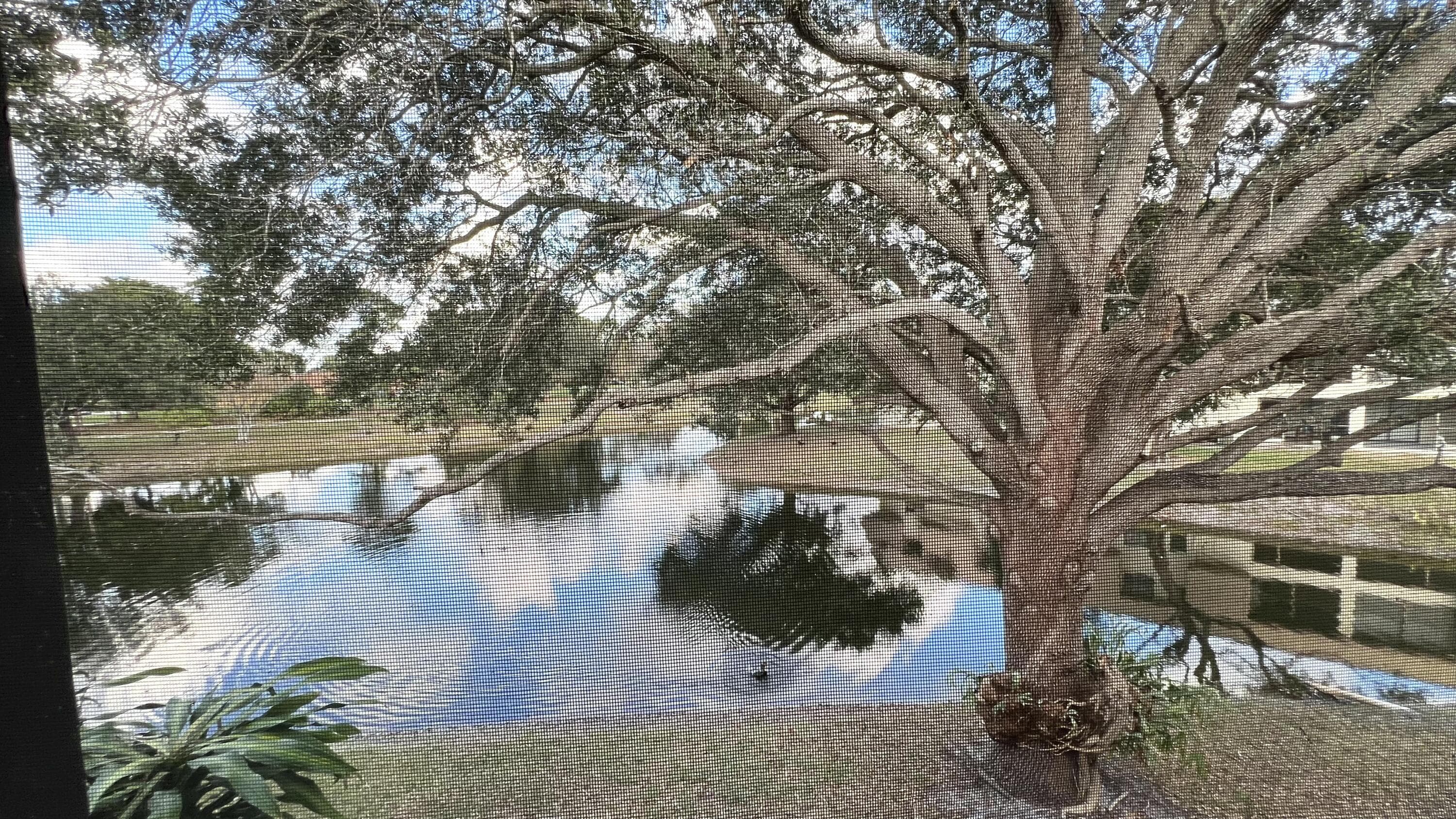 4205 Oak Terrace Drive 4205, Greenacres, FL 33463 22