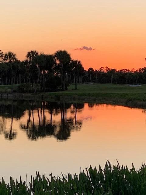 8216 Cypress Point Road, West Palm Beach, FL 33412 60