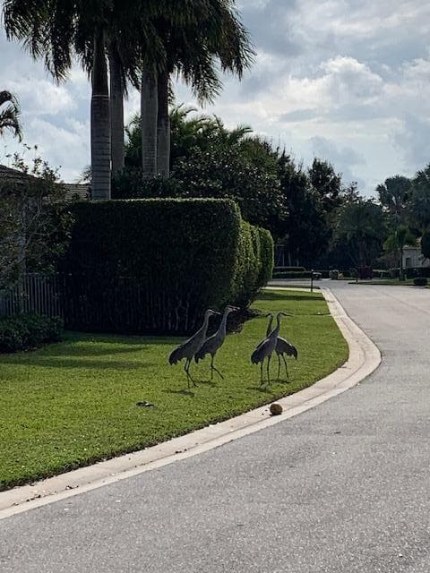 8216 Cypress Point Road, West Palm Beach, FL 33412 58