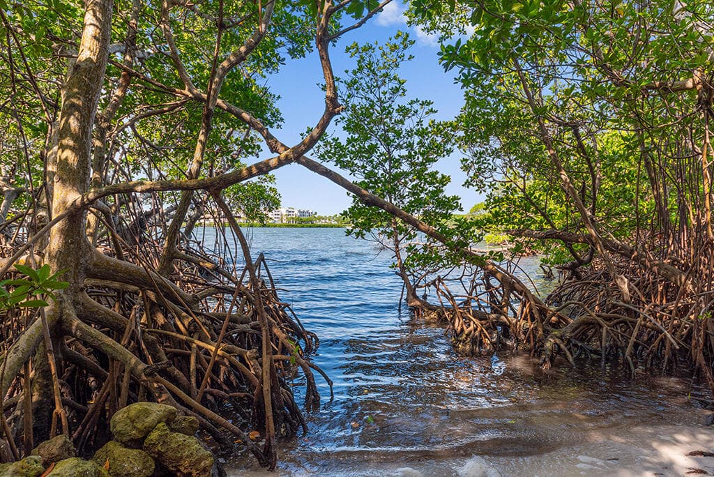23 NE Macarthur Boulevard, Stuart, FL 34996 102