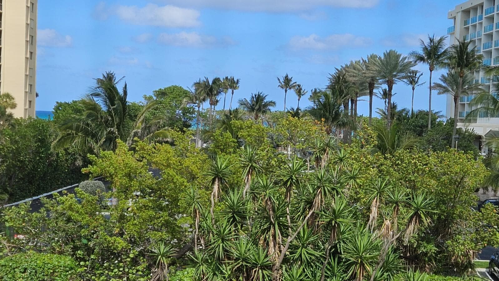 500 Ocean Trail Way 307, Jupiter, FL 33477 18