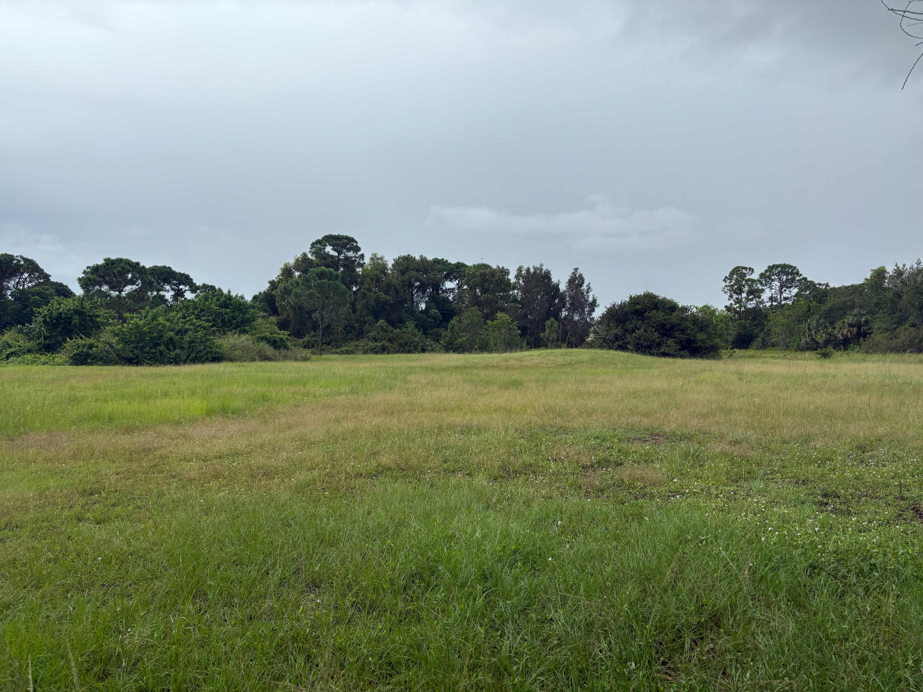 2520 SE Melaleuca Boulevard, Port St. Lucie, FL 34952 3