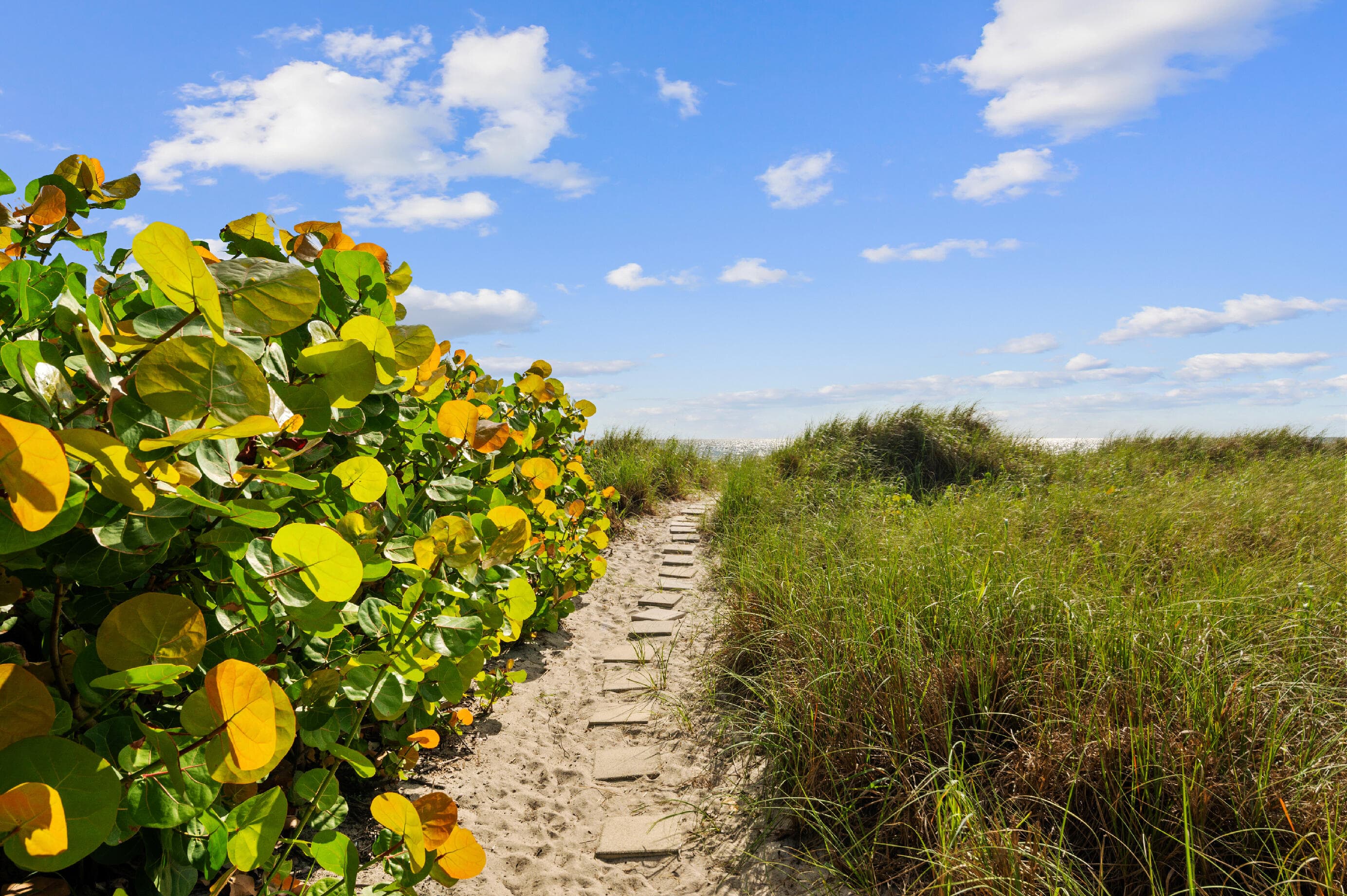 2200 S Ocean Boulevard 203, Delray Beach, FL 33483 32