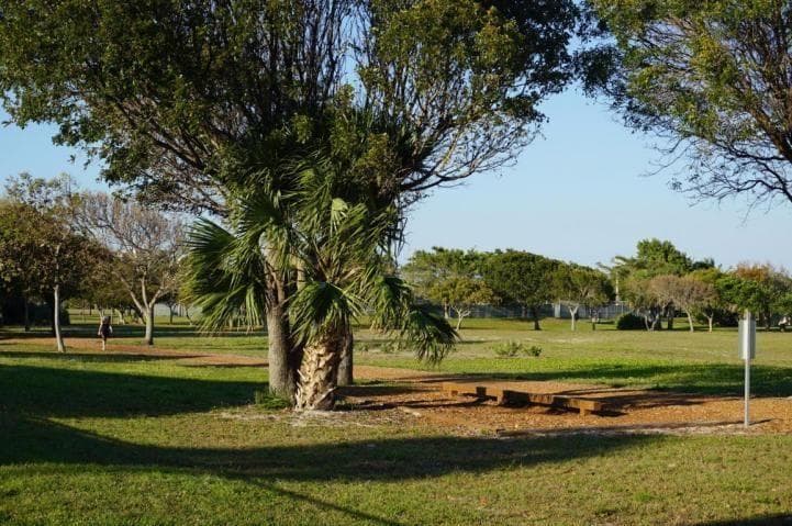 115 Olympus Way, Jupiter, FL 33477 40
