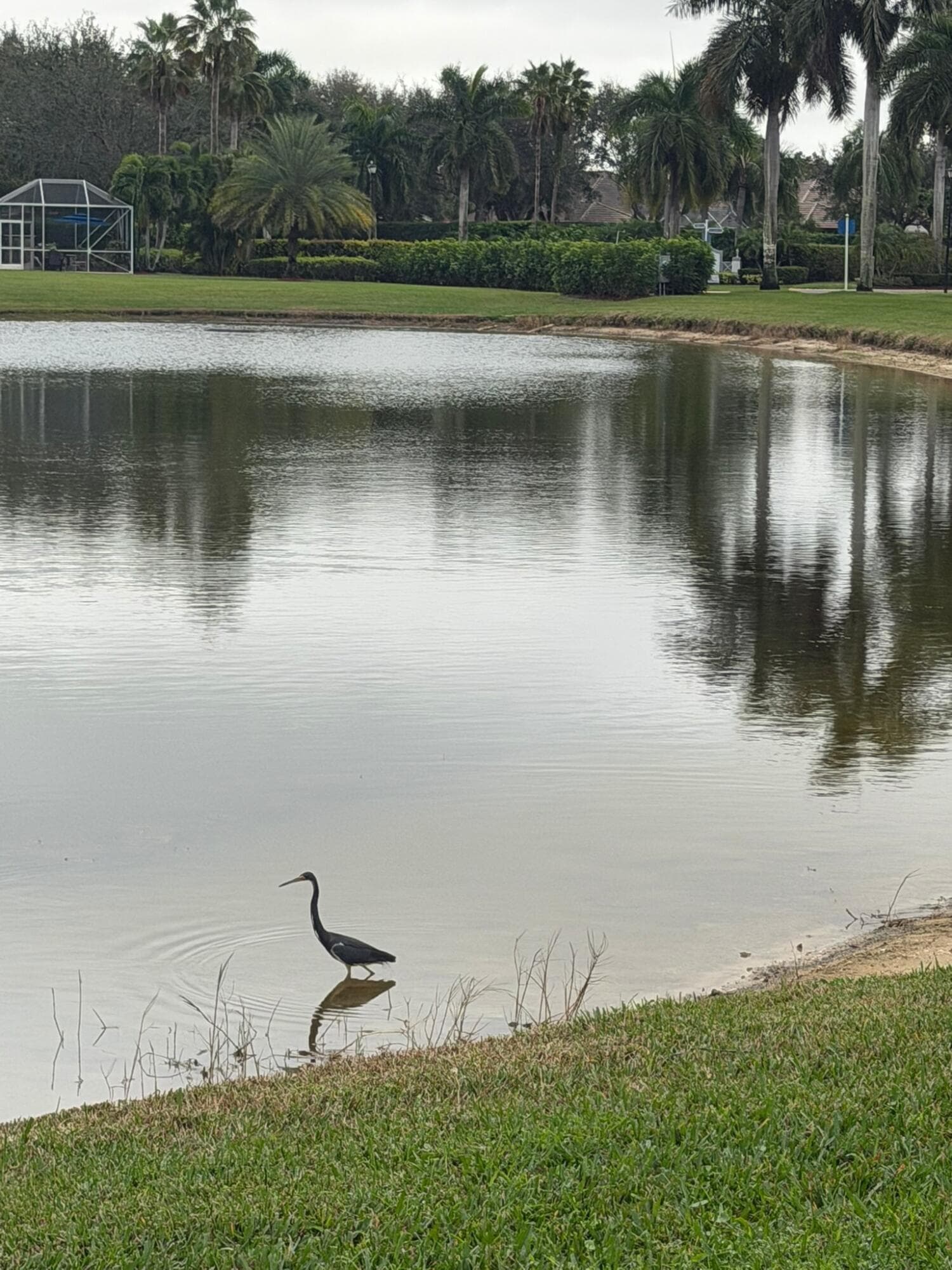 9391 Bridgeport Drive, West Palm Beach, FL 33411 30