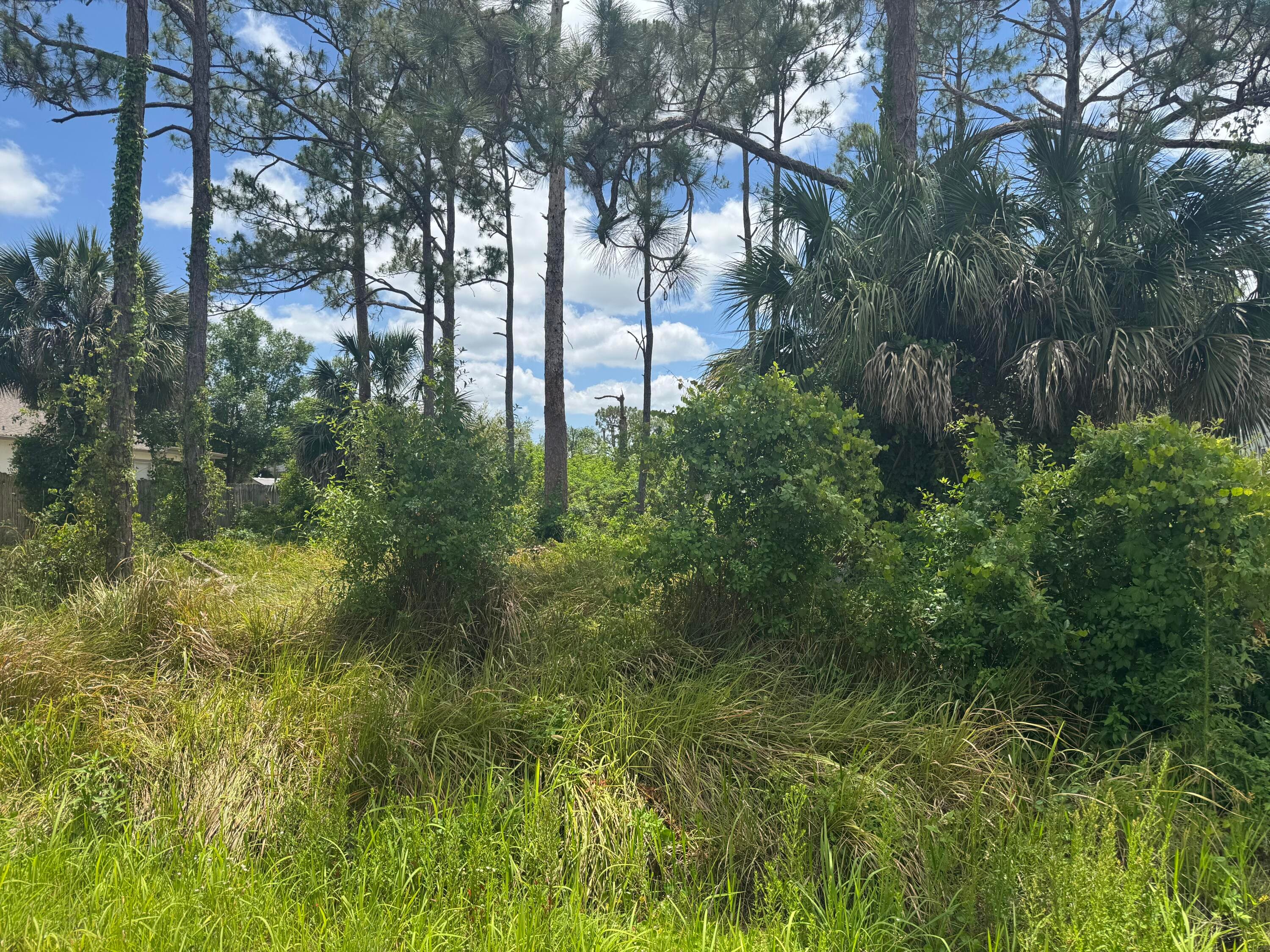 1458 Transcoro Street SE, Palm Bay, FL 32909 3