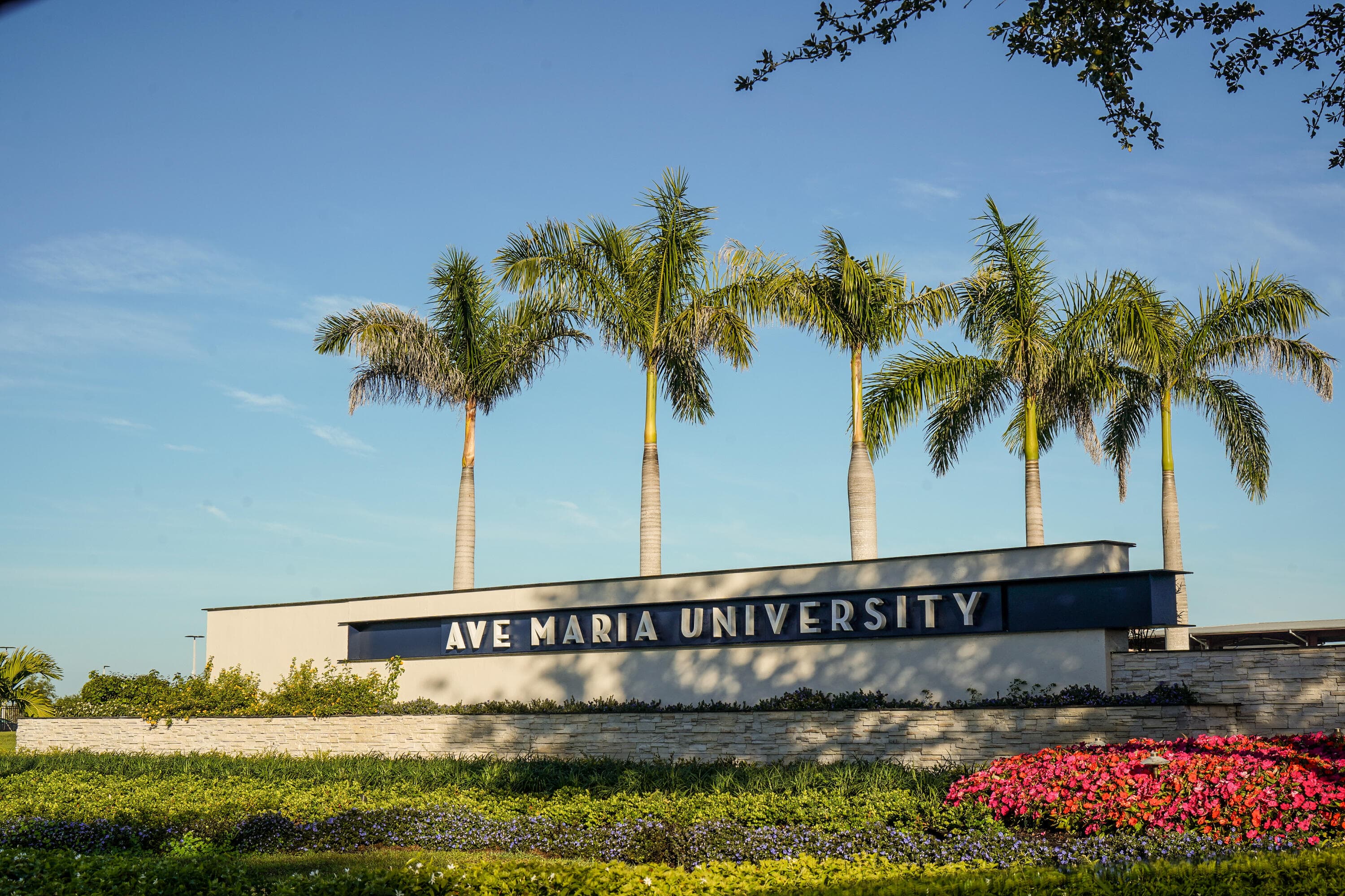 5947 Prosperity Lane, Ave Maria, FL 34142 38