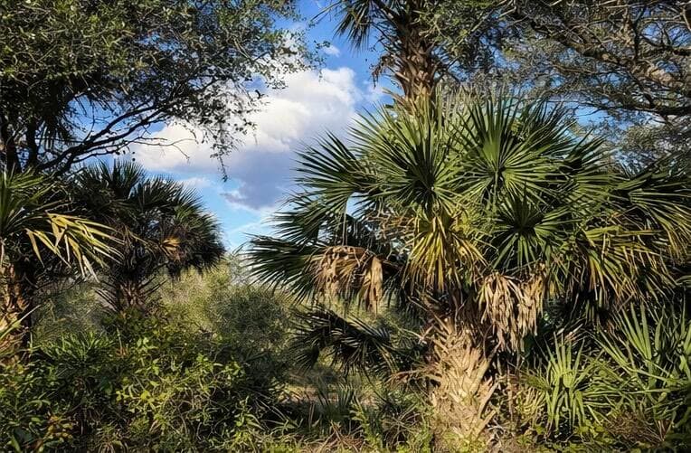 0 NW 294th, Okeechobee, FL 34974 2