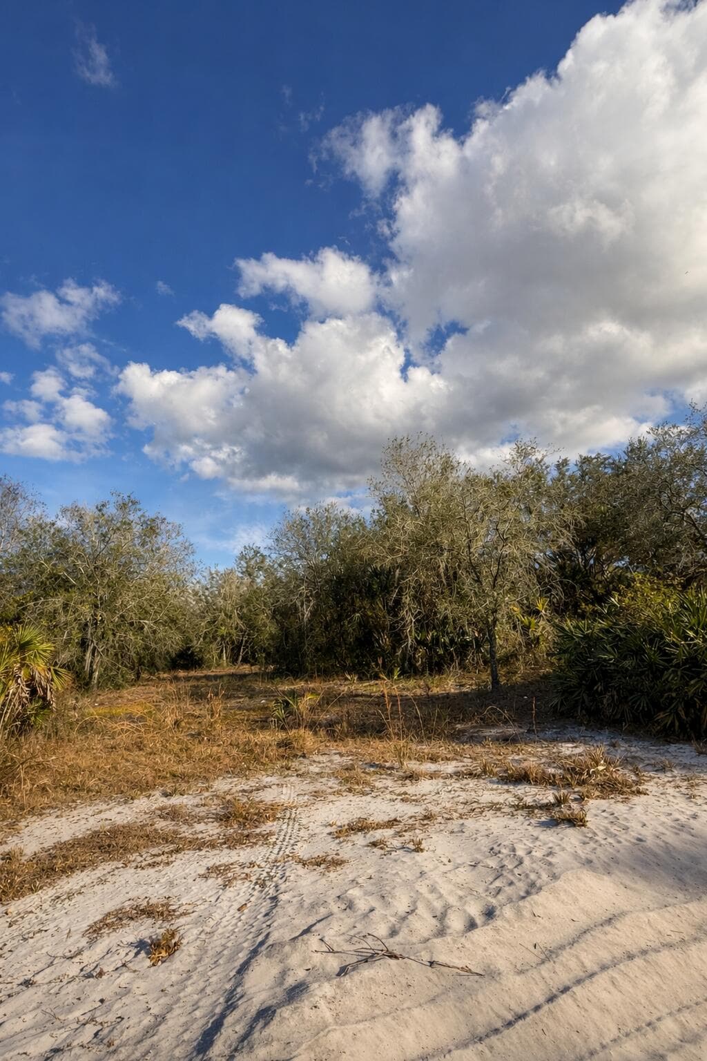 0 NW 294th, Okeechobee, FL 34974 4