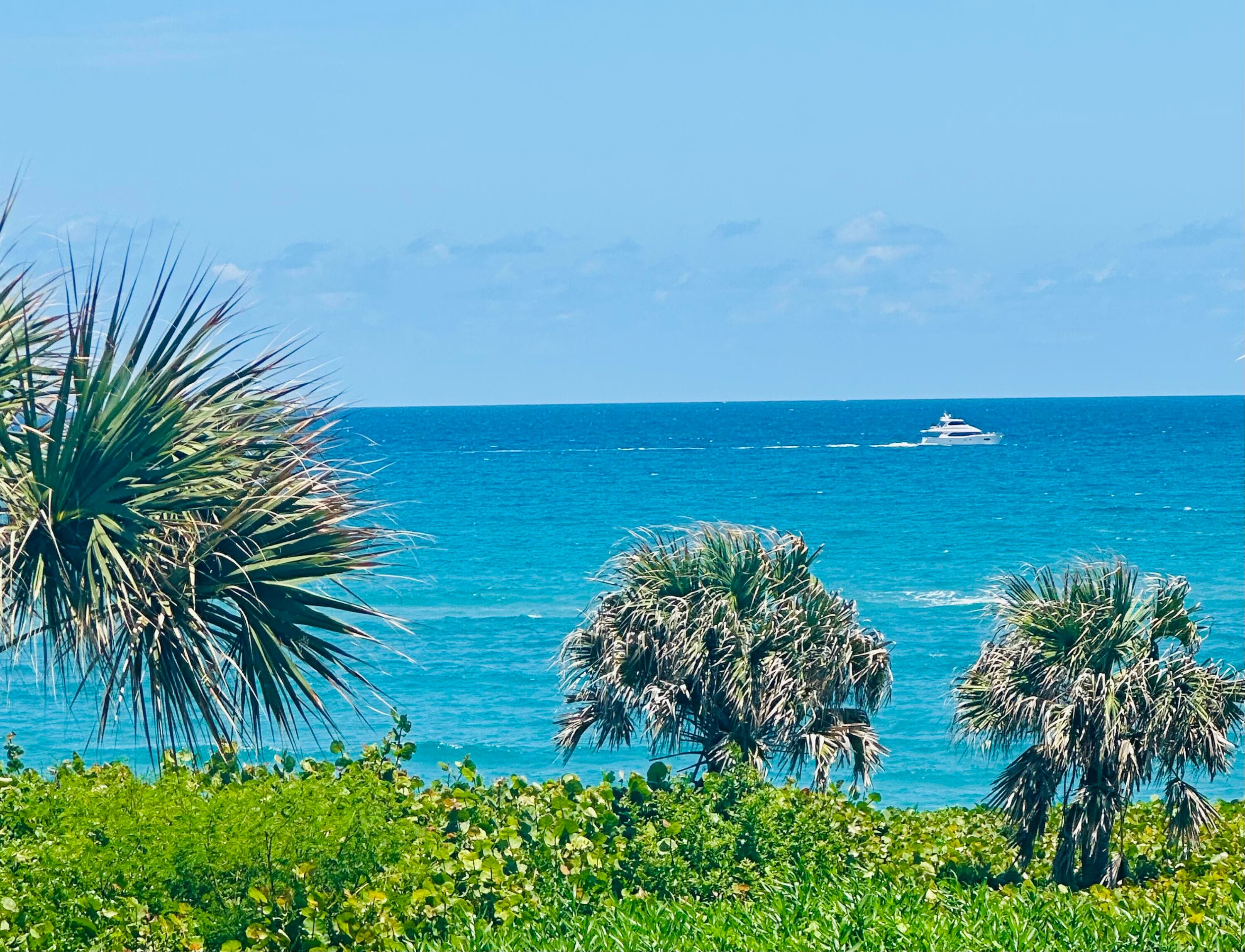 420 Celestial Way 301, Juno Beach, FL 33408 50