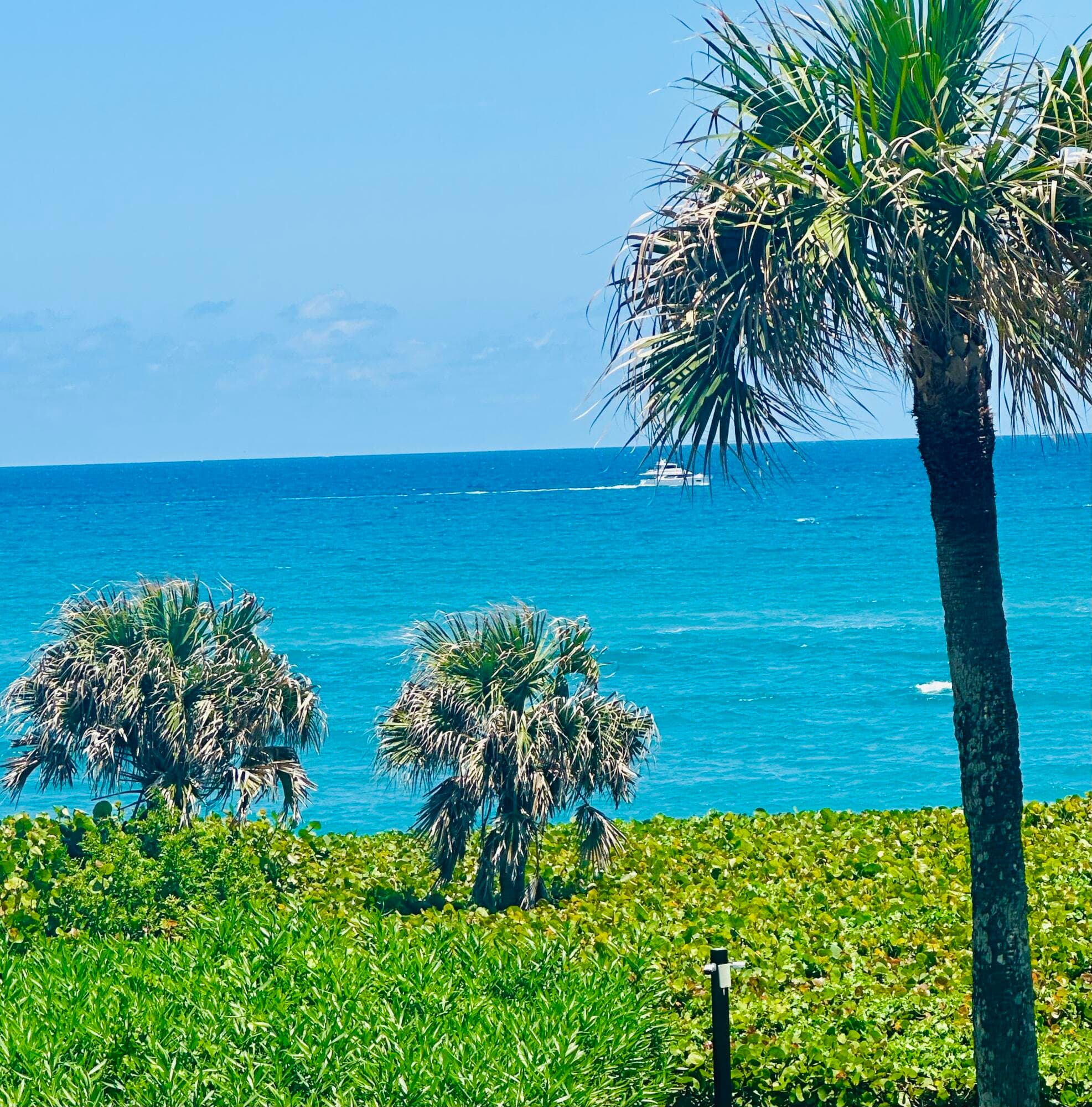 420 Celestial Way 301, Juno Beach, FL 33408 71