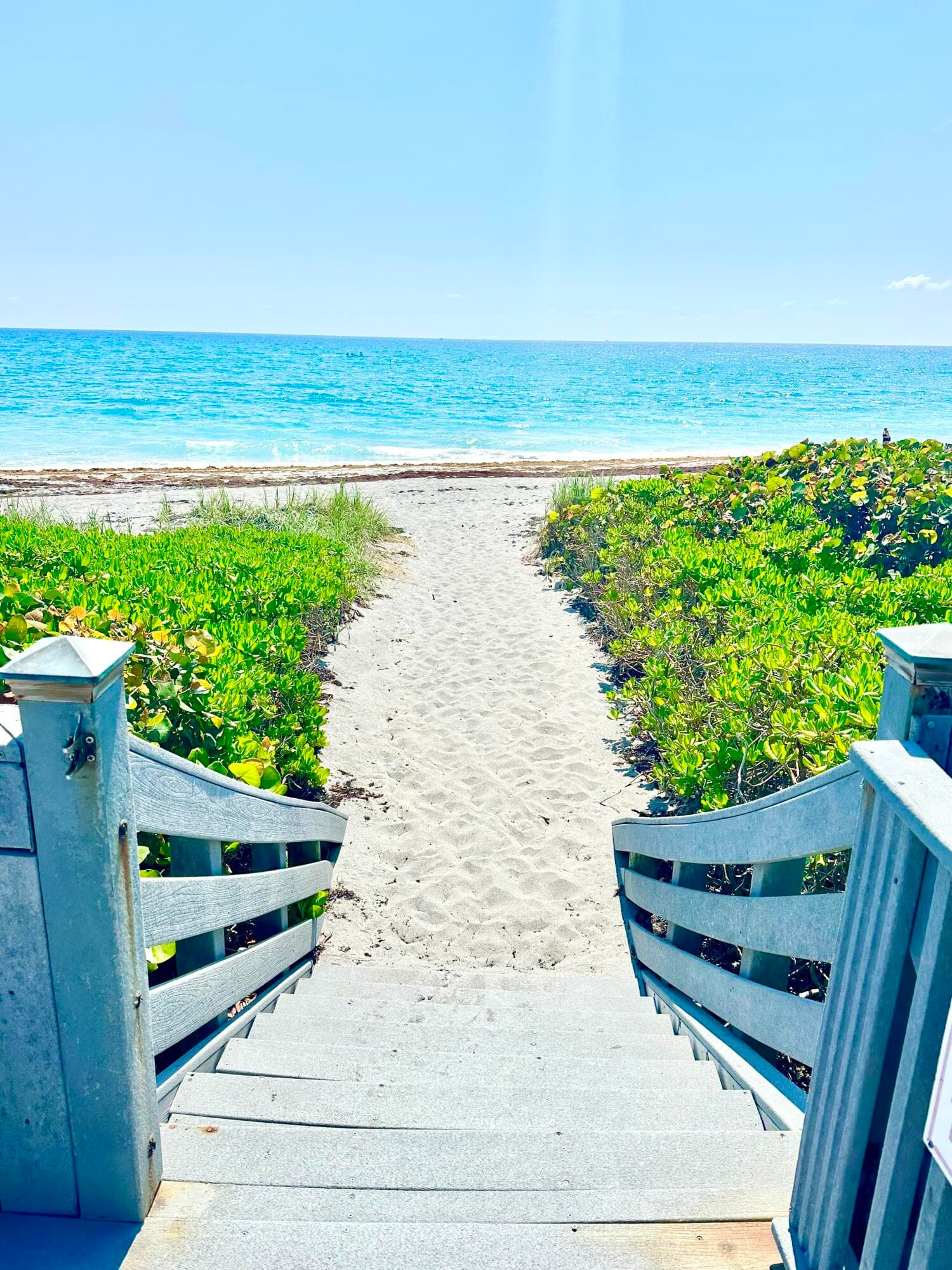 420 Celestial Way 301, Juno Beach, FL 33408 17