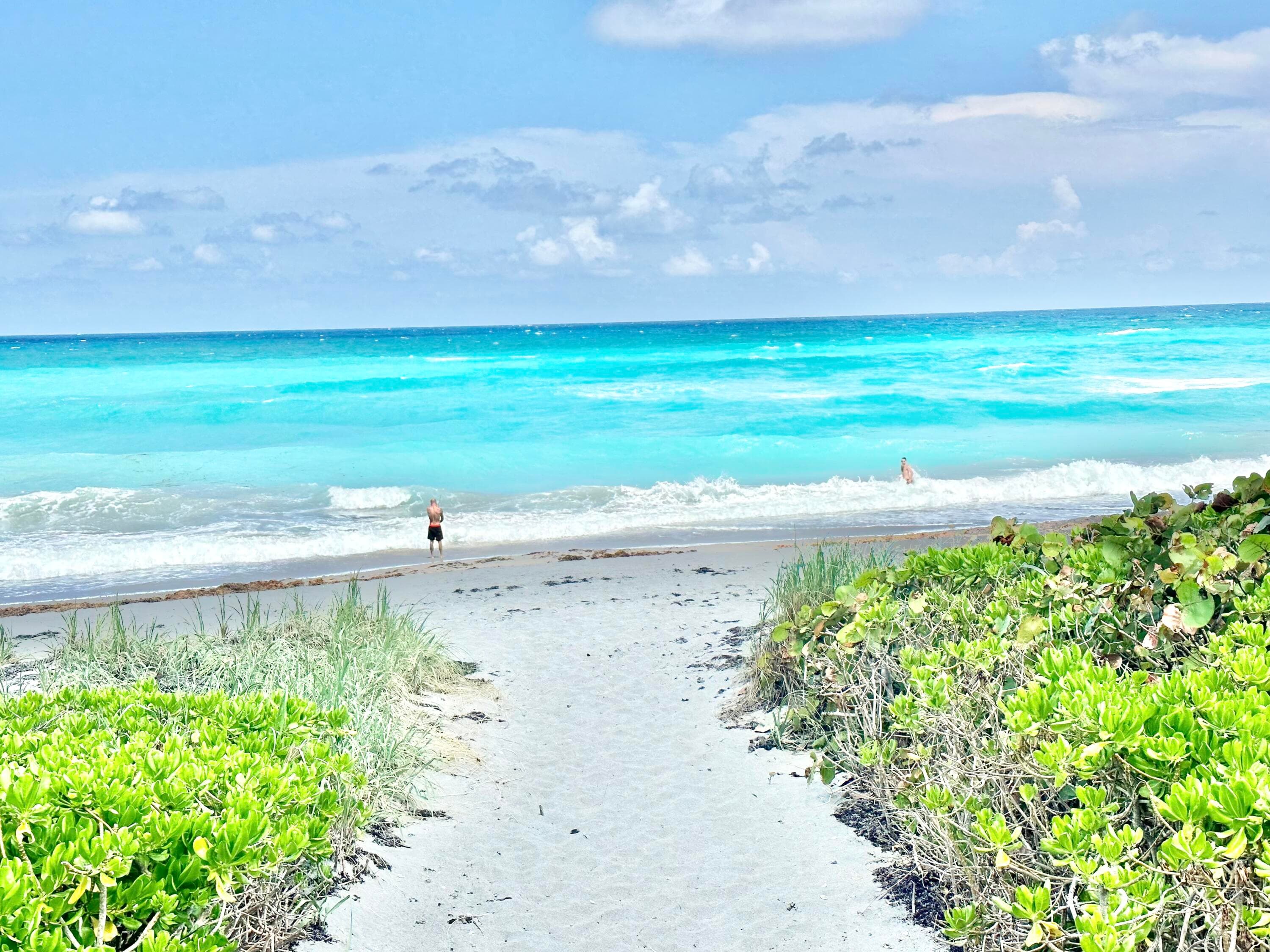 420 Celestial Way 301, Juno Beach, FL 33408 19