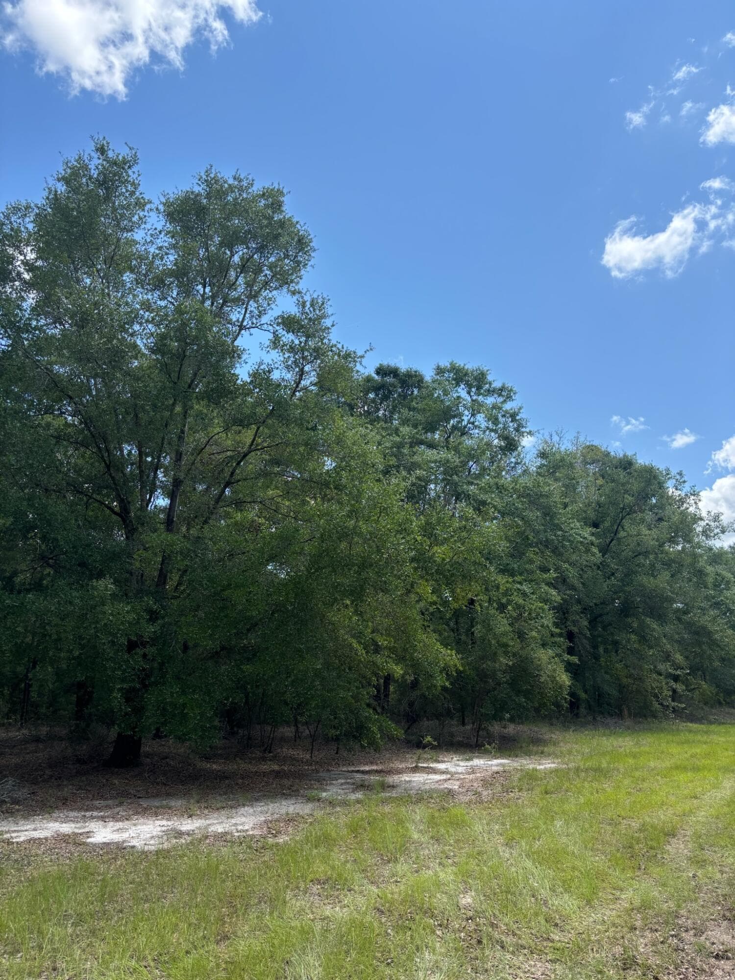 423 NW Bright Lake Court, White Springs, FL 32096 27