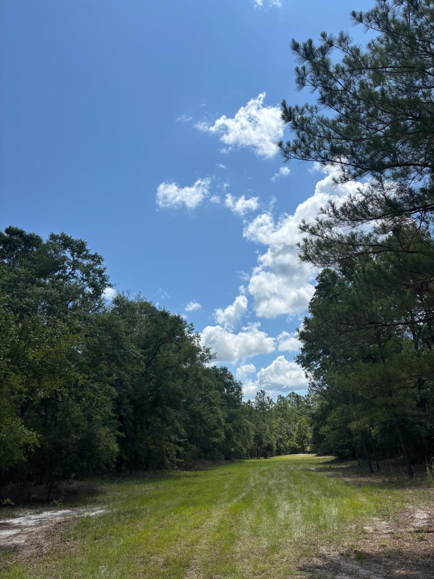 423 NW Bright Lake Court, White Springs, FL 32096 29
