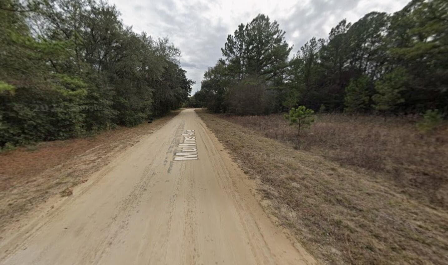 Tbd Maltas Avenue, Interlachen, FL 32148 8