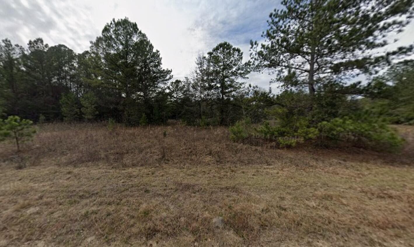 Tbd Maltas Avenue, Interlachen, FL 32148 4