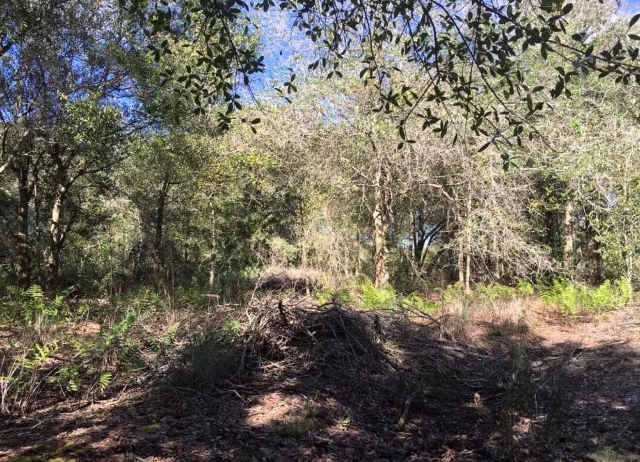 17444 NW 286th Street, Okeechobee, FL 34972 4