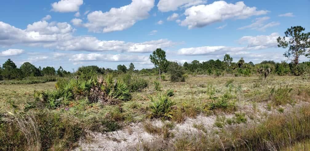 16963 NW 292nd Street, Okeechobee, FL 34972 2