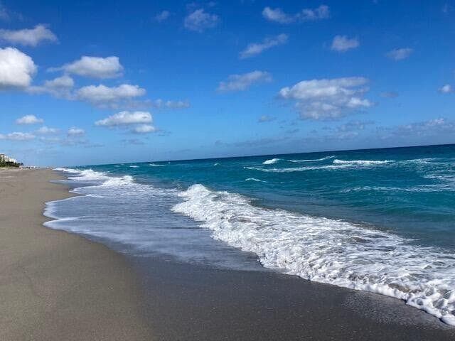 907 Marina Drive 402, North Palm Beach, FL 33408 35