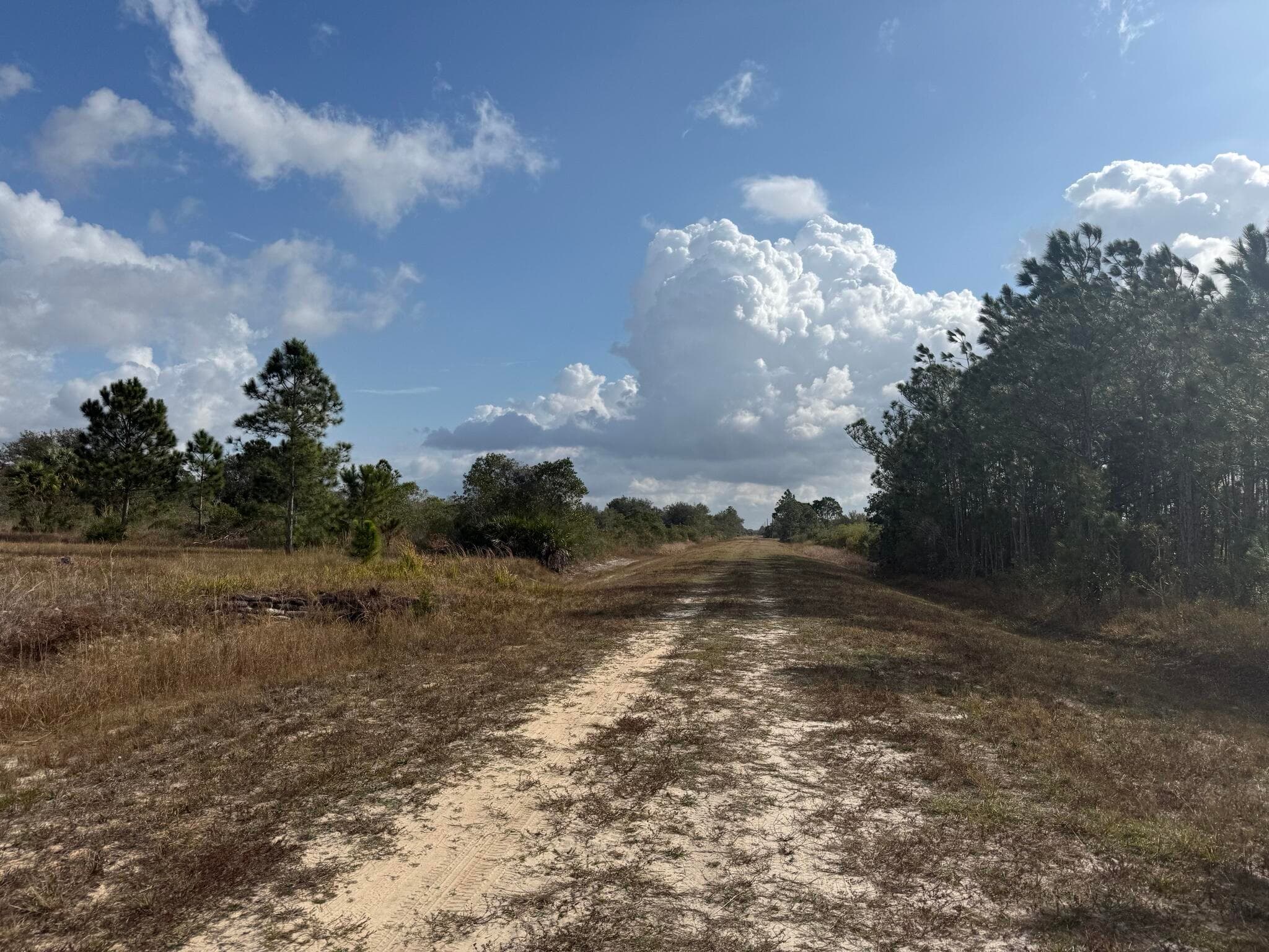 16375 NW 314th Street, Okeechobee, FL 34972 2
