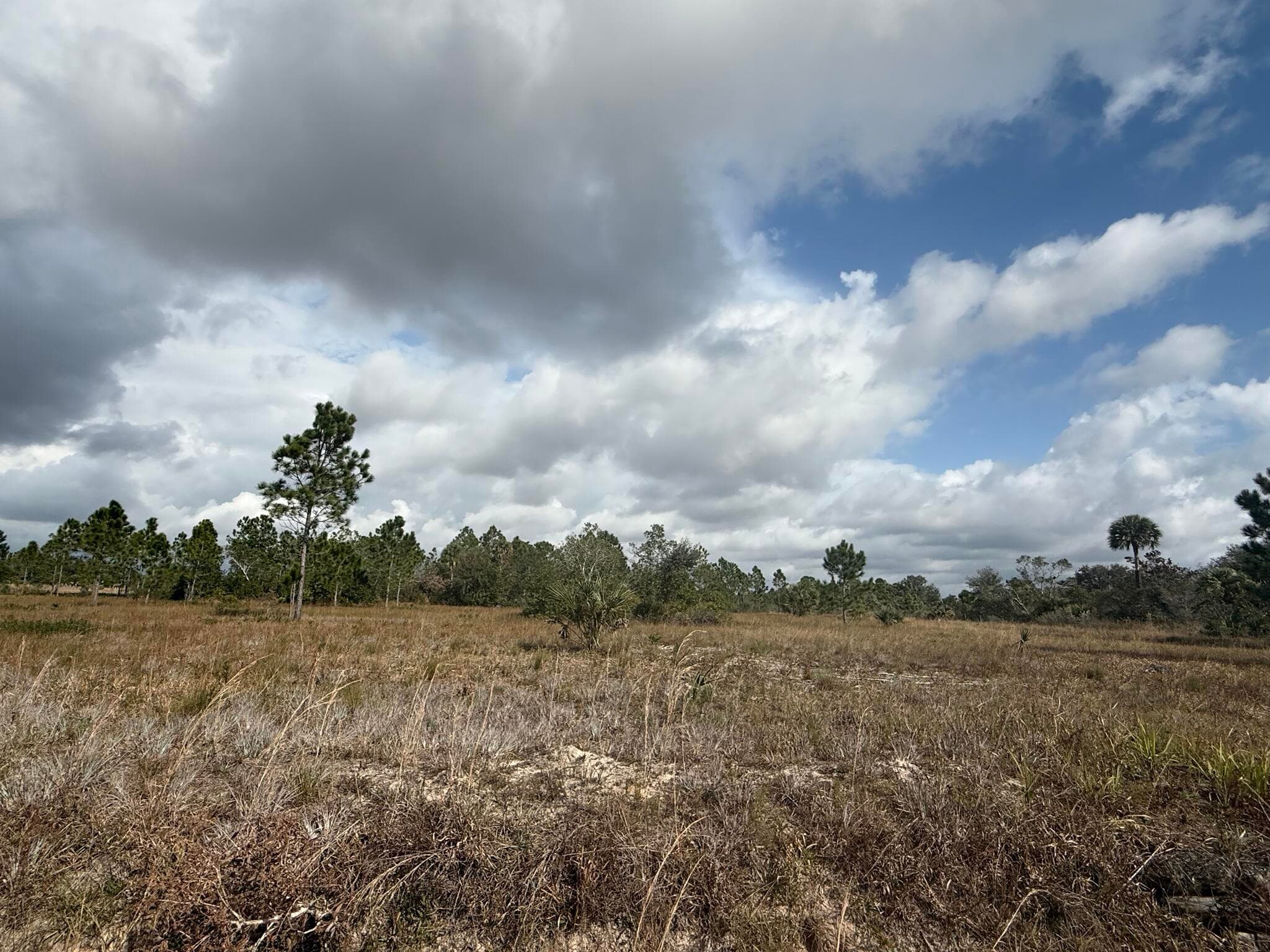 16375 NW 314th Street, Okeechobee, FL 34972 4