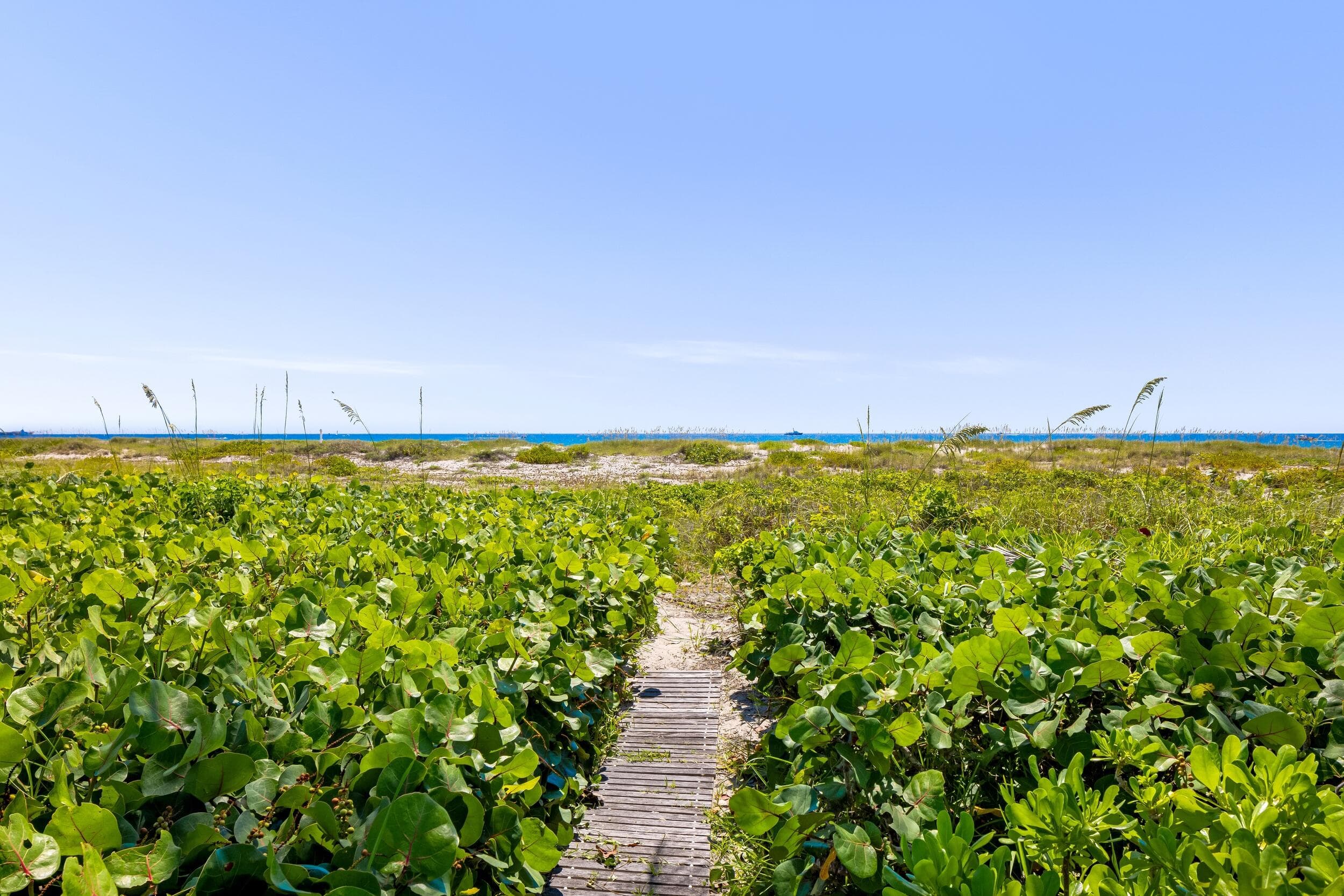 1446 N Ocean Boulevard, Palm Beach, FL 33480 17