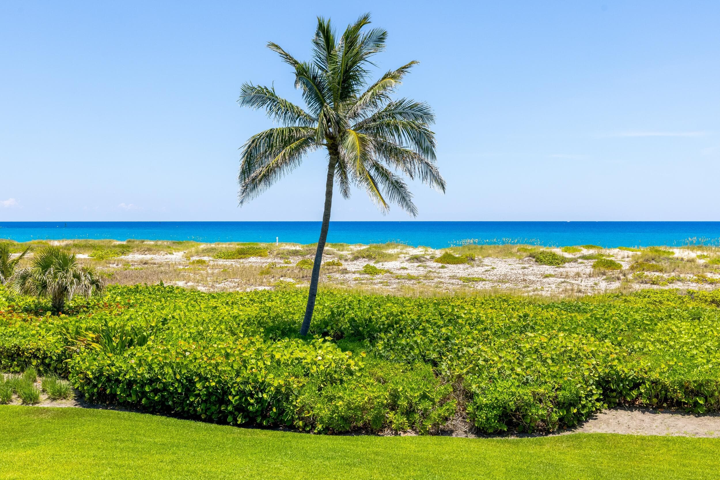 1446 N Ocean Boulevard, Palm Beach, FL 33480 29
