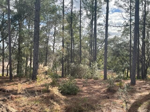 000 Malauka Cir Circle, Ocklawaha, FL 32179 2
