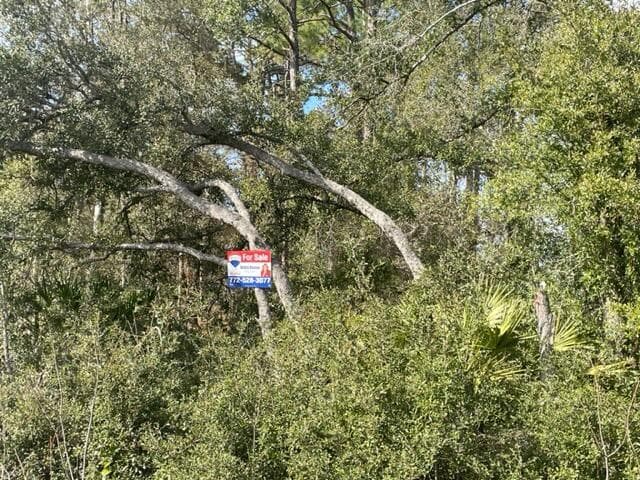 000 Malauka Cir Circle, Ocklawaha, FL 32179 8