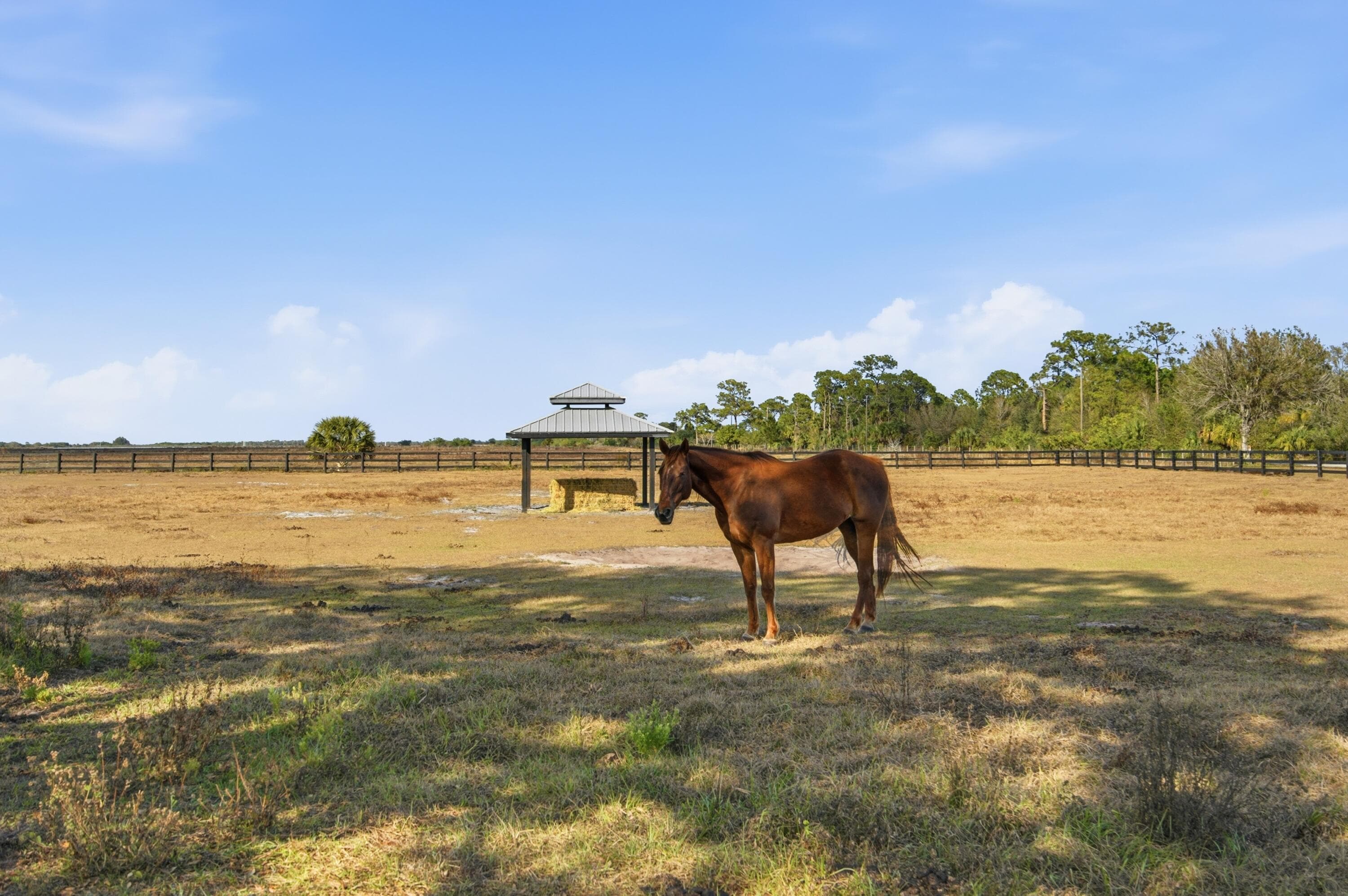 13850 SW Allapattah Road, Indiantown, FL 34956 83
